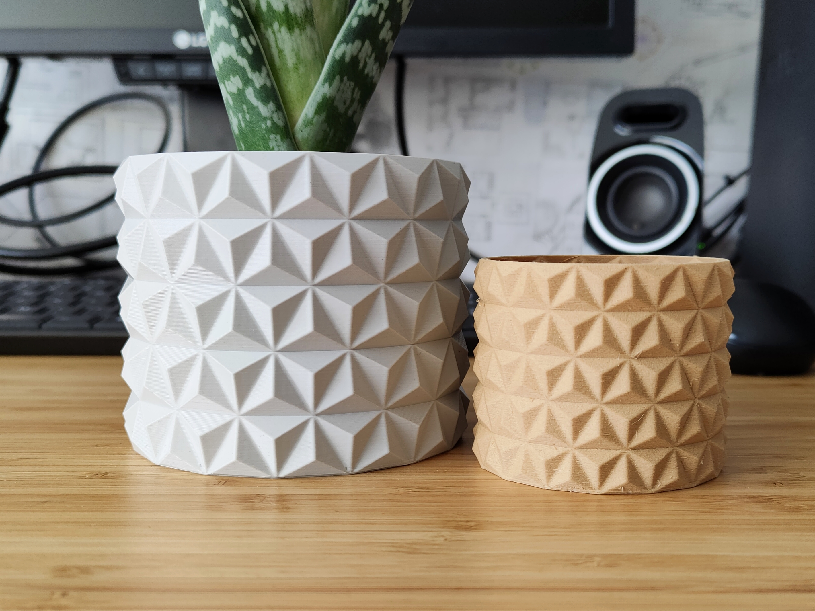 Cactus Flower Pot Planter for Plants 3D model thumbnail