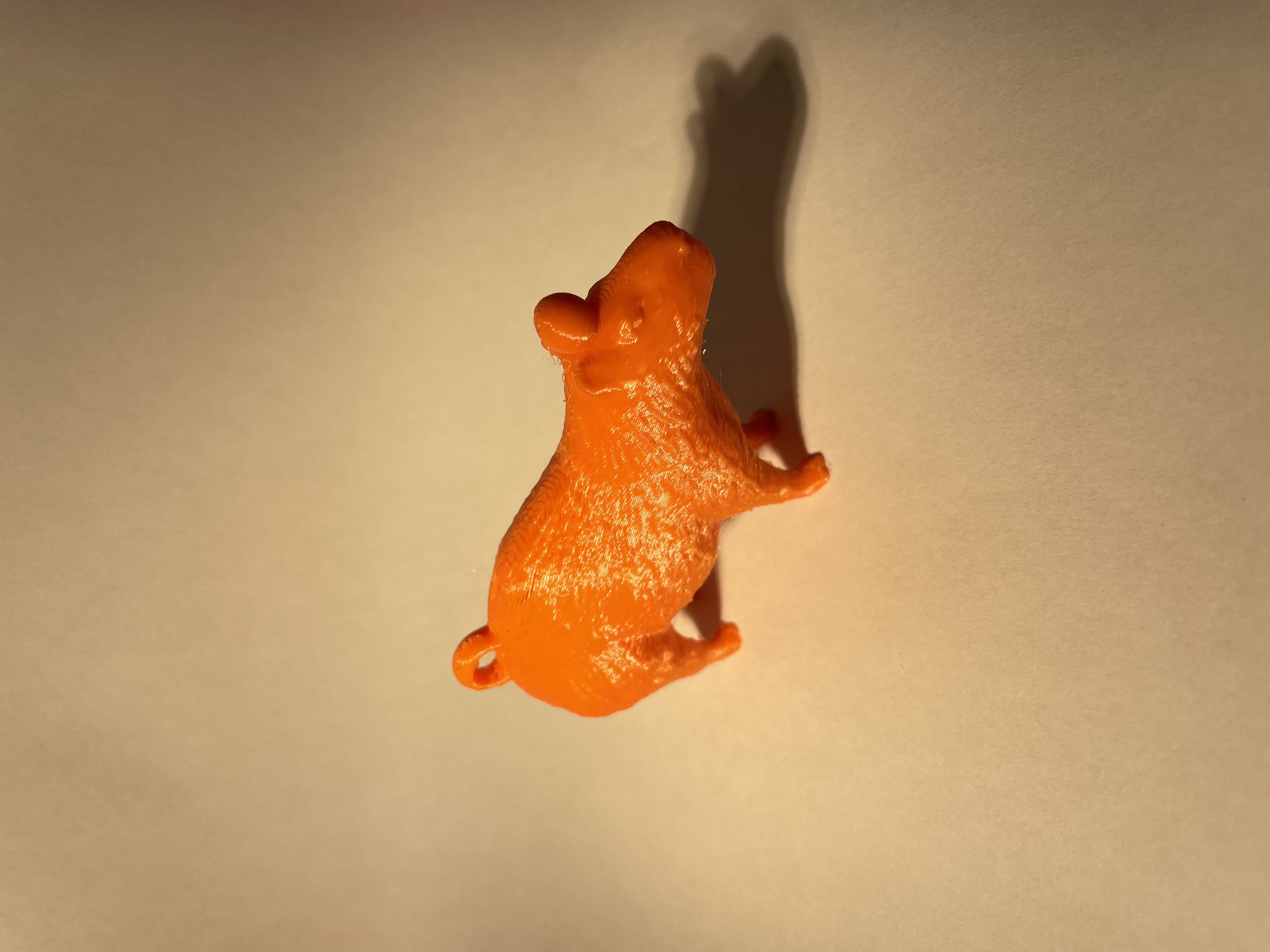Capybara Orange — miniatura 3