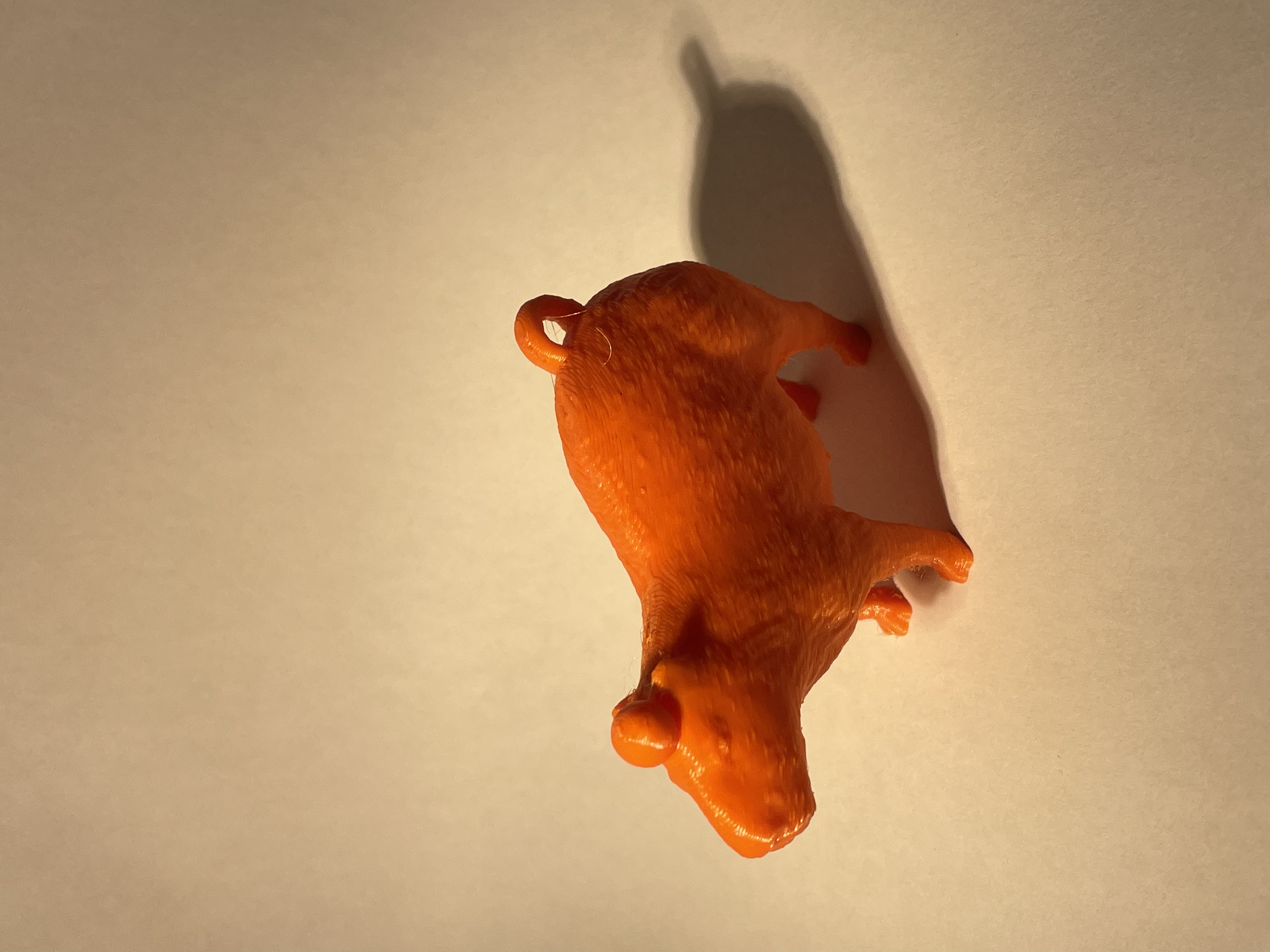 Capybara Orange
