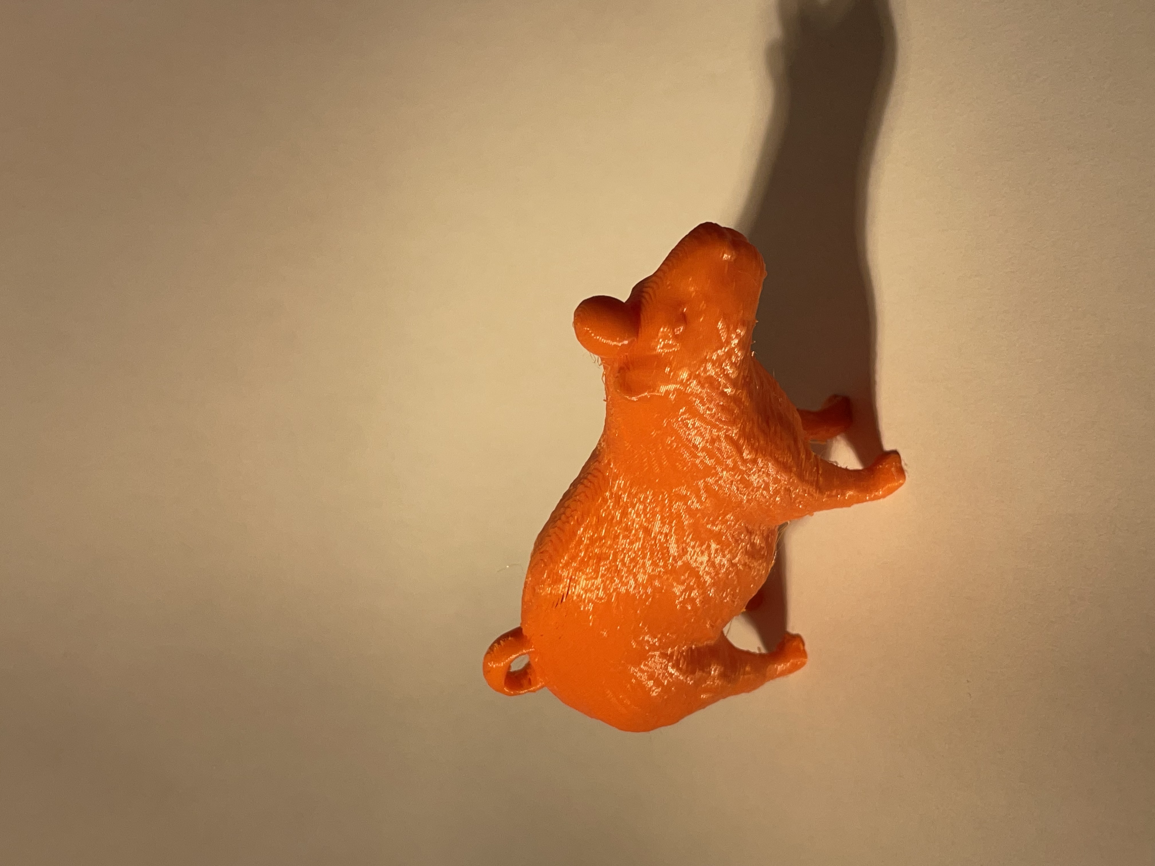 Capybara Orange — miniatura 4