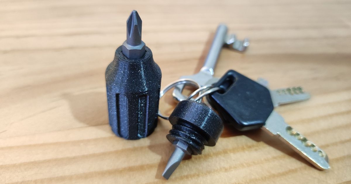 Mini Screwdriver Keychain by Martin Rigatoni Download free STL model