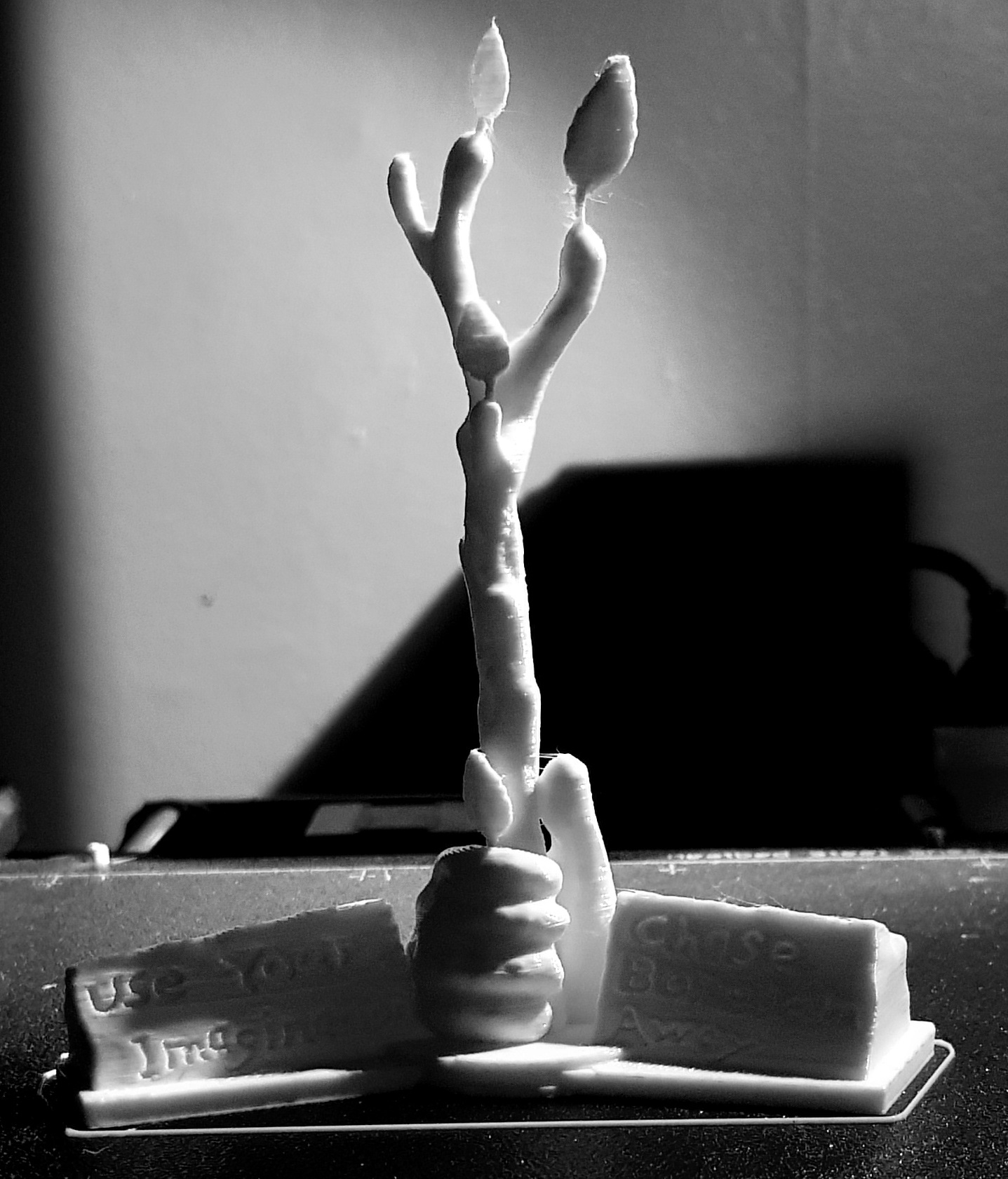 The Stick