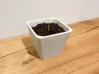 Simple Cactus Pots + Hood