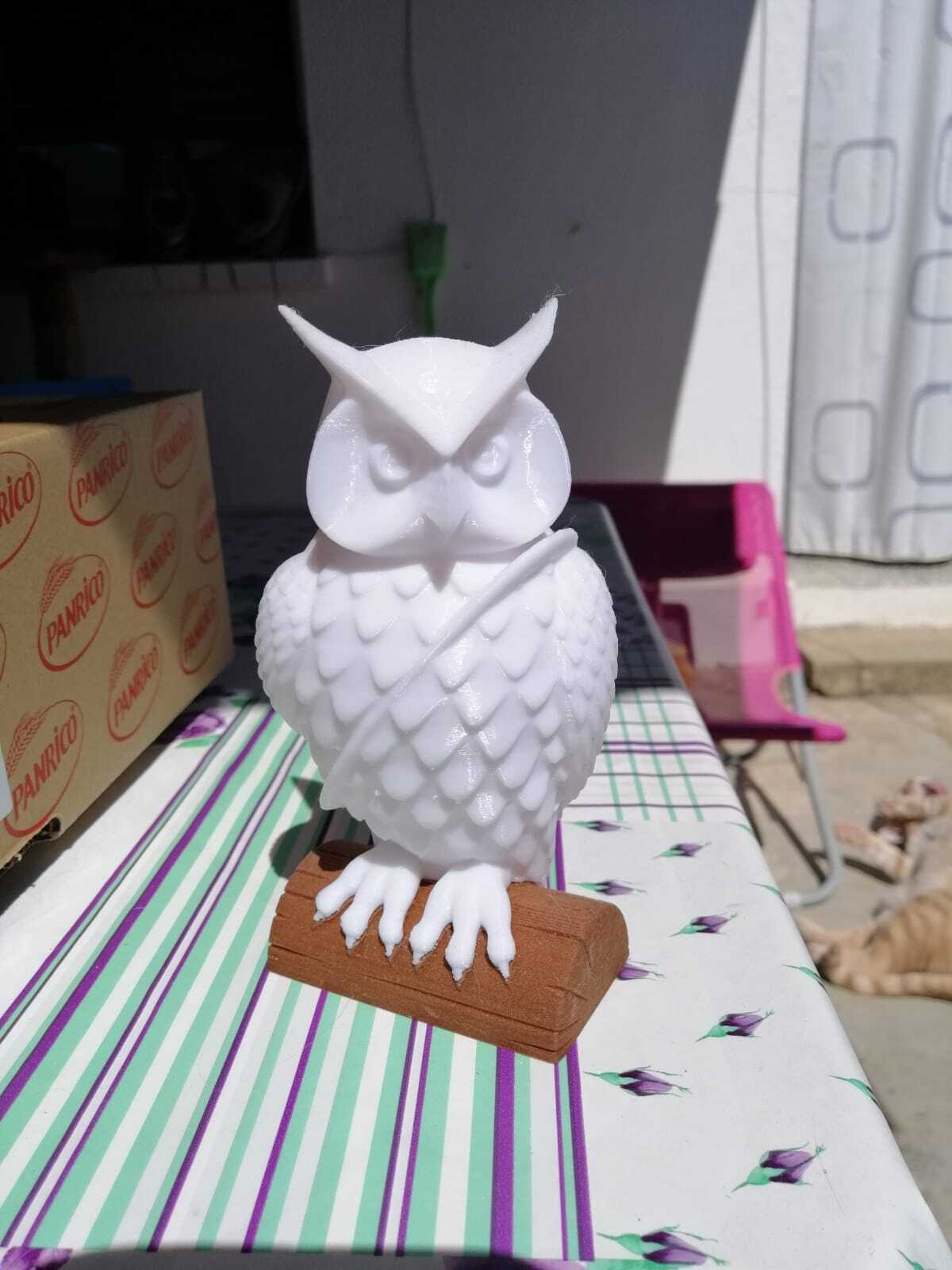 Mail owl with space for a letter (with and without log) Harry Potter Hedwig style