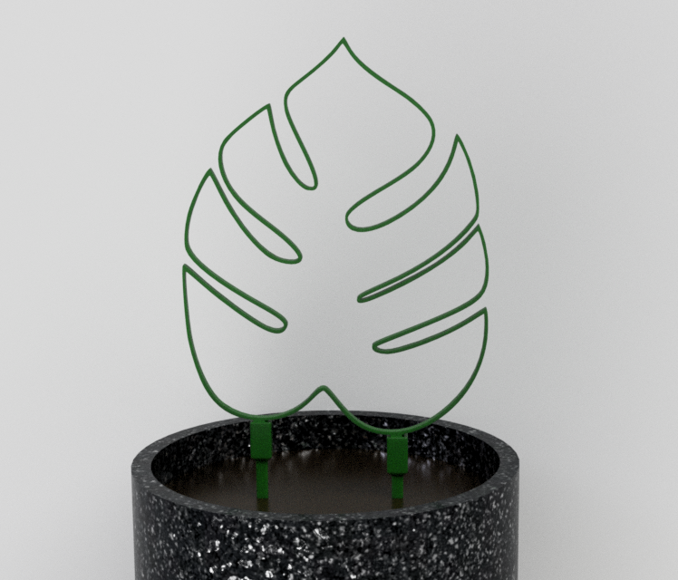 Monstera leaf support for plants