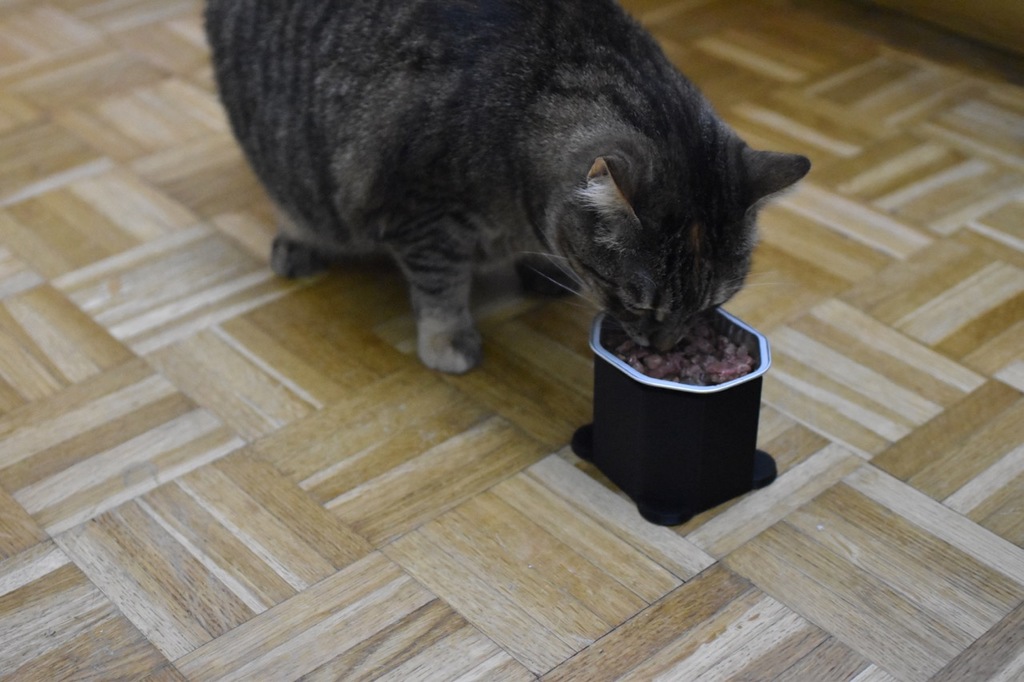 Cat food tray holder for Sheba 85g trays