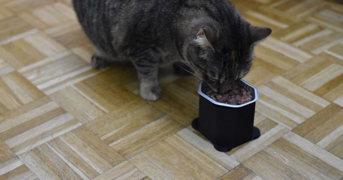 Cat food tray holder for Sheba 85g trays by reefab Download free STL