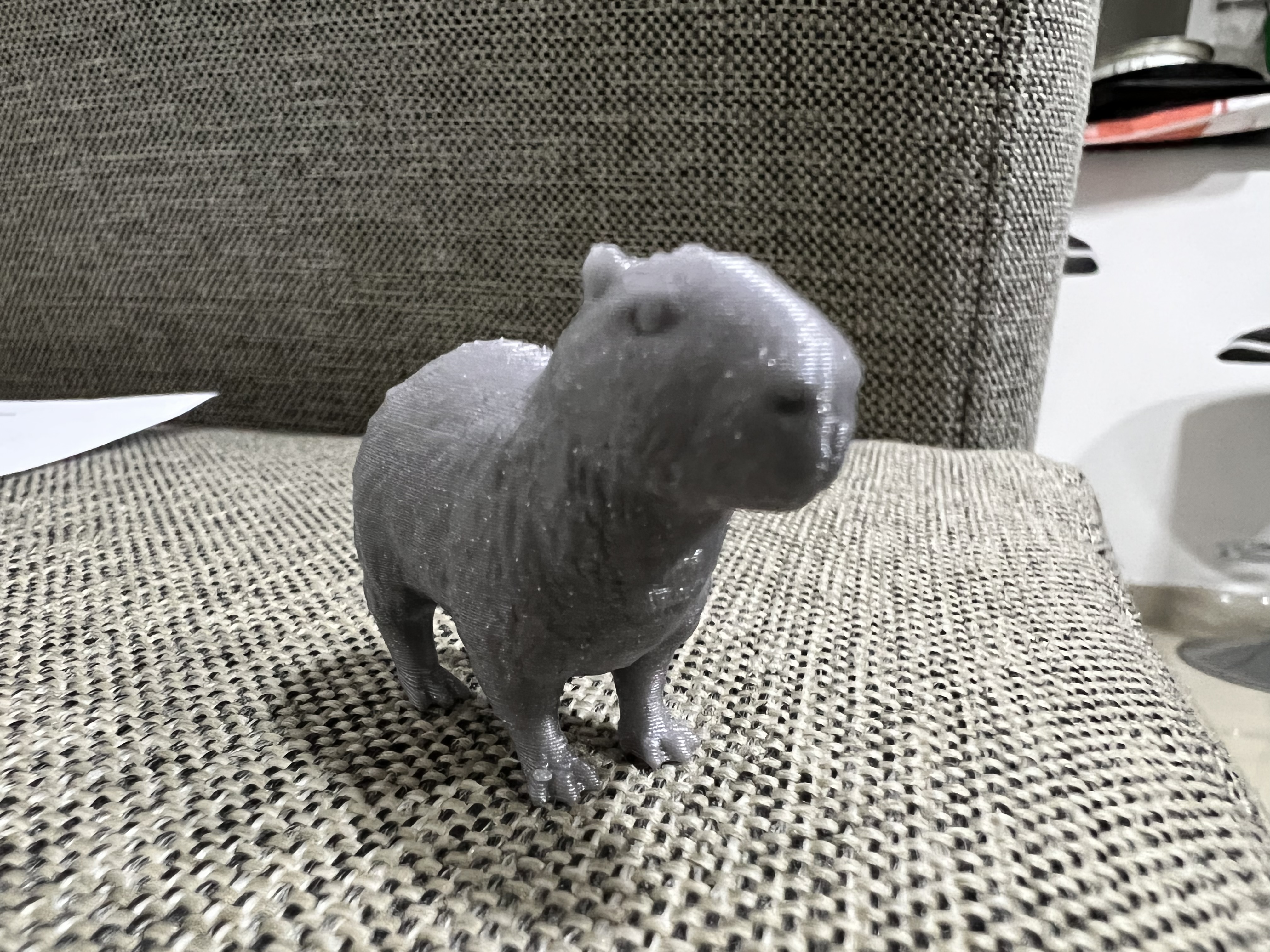 Miniatura 2 do modelo 3D Capibara