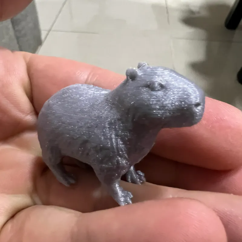 Capibara by Dr_Lipo | Download free STL model 