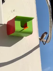 Bird House