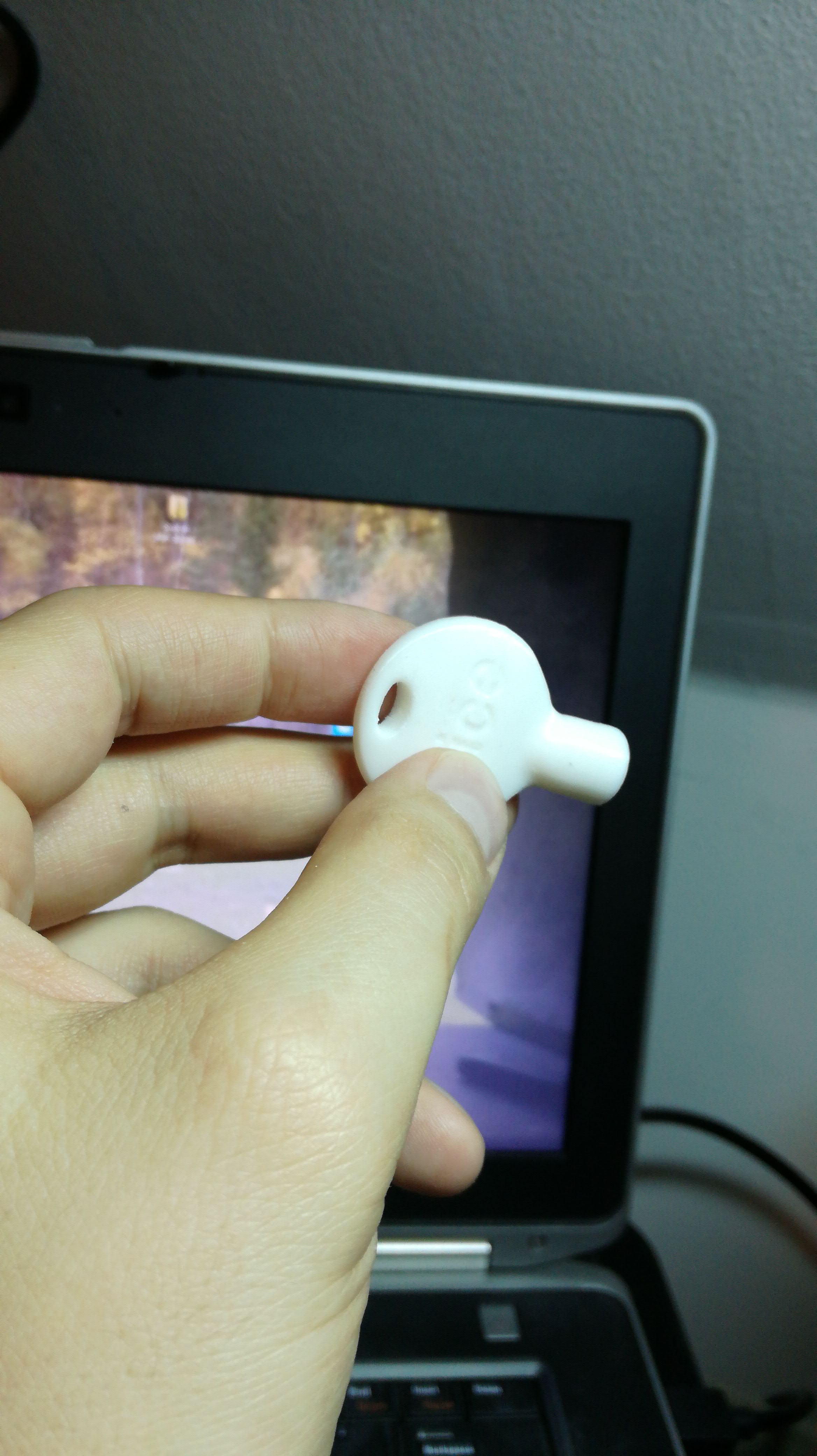 Miniatura 2 do modelo 3D NICE GATE KEY