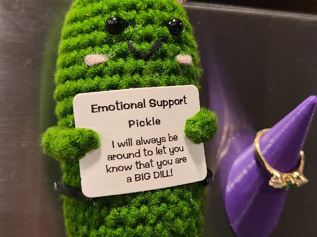 Support Pickle Support