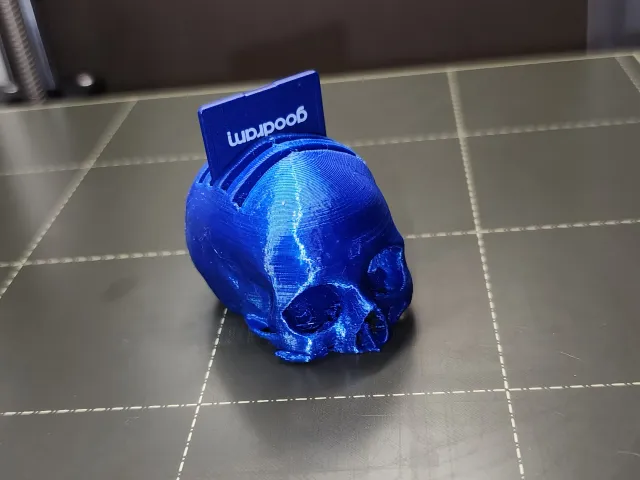 Skull SD card holder
