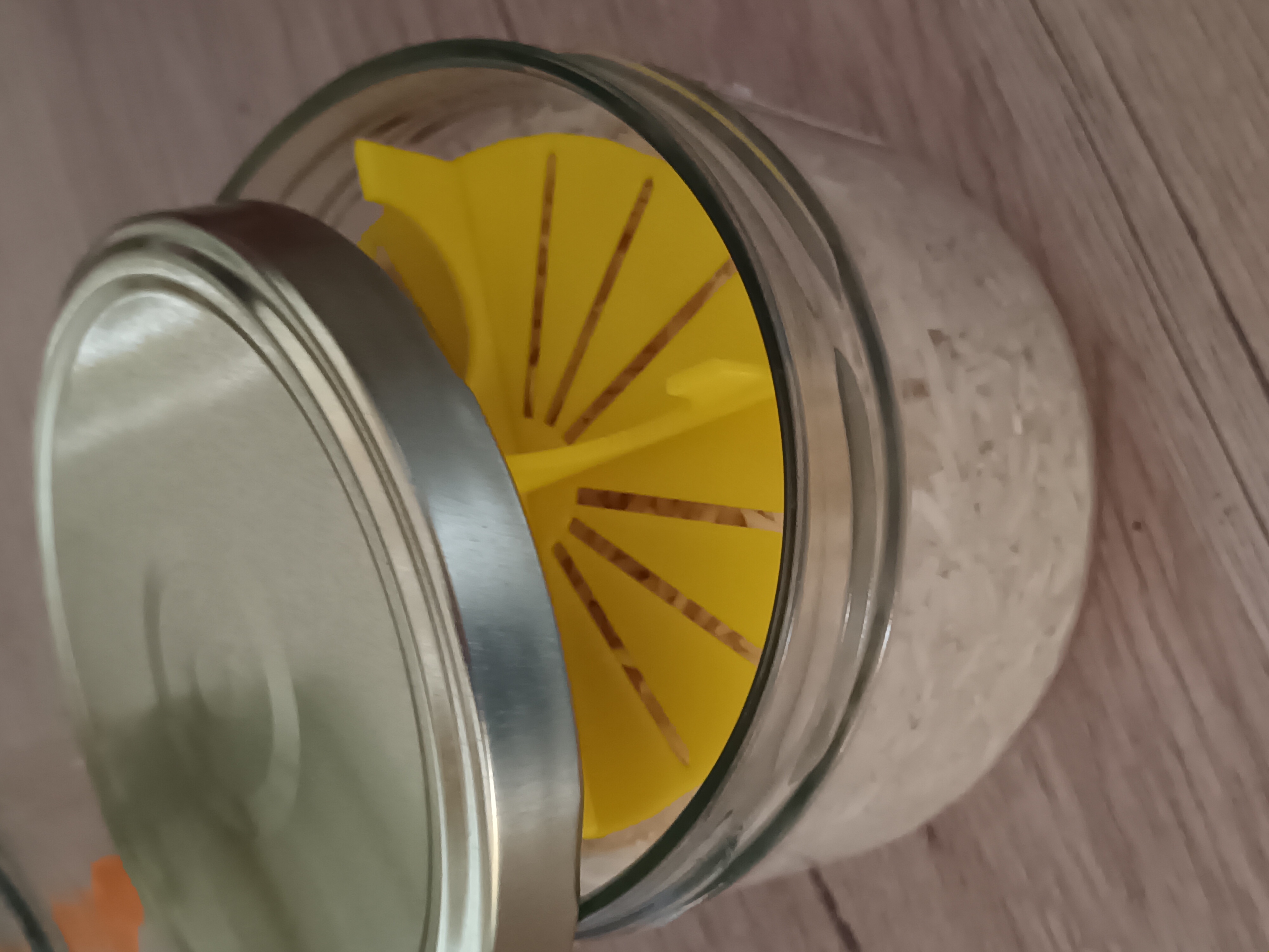 Appui pour saumure / Lacto Fermentation