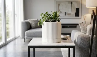 Modern Fluted Plant Pot with Base