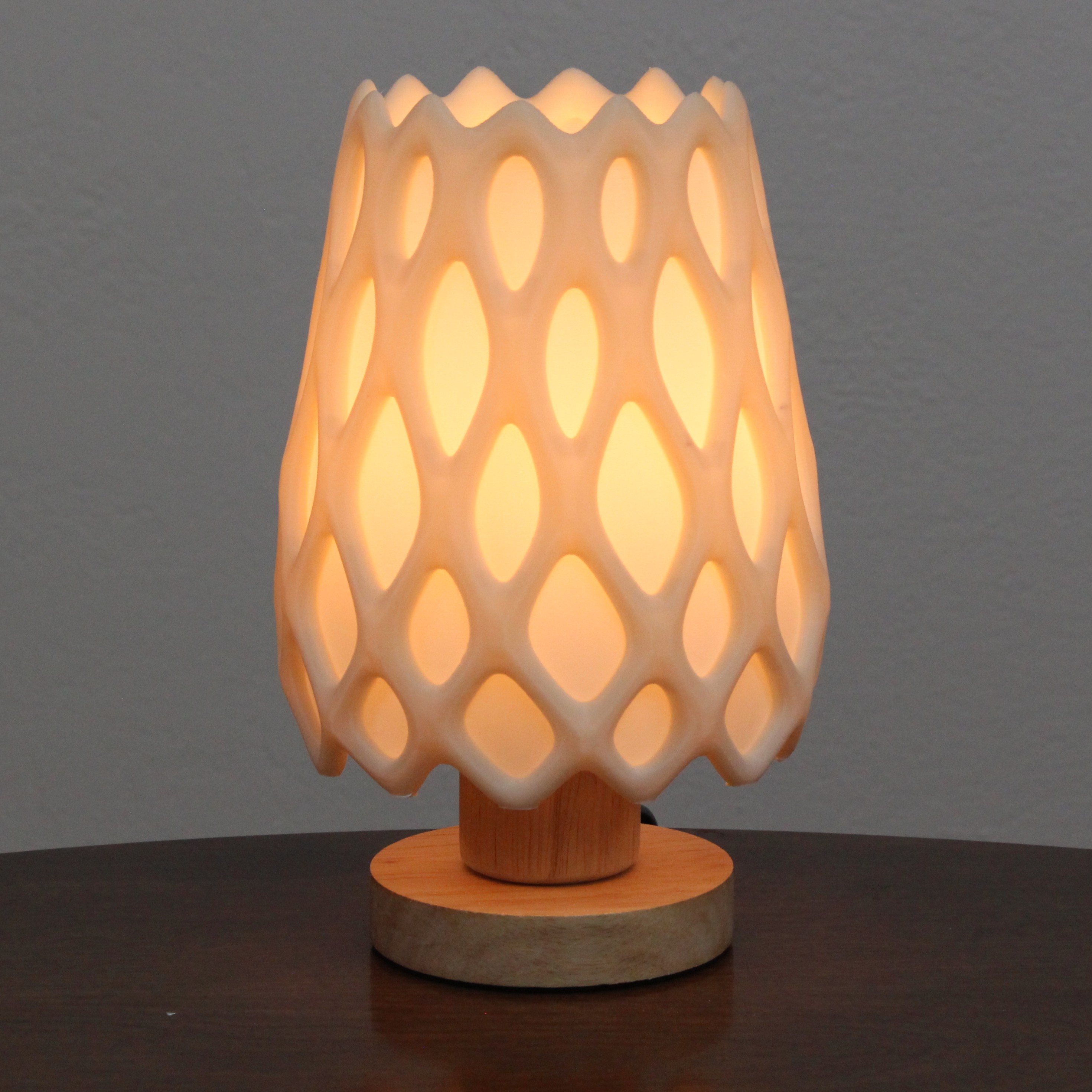 Cholla Cactus Lamp — miniatura 6