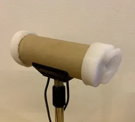 Binaural microphone