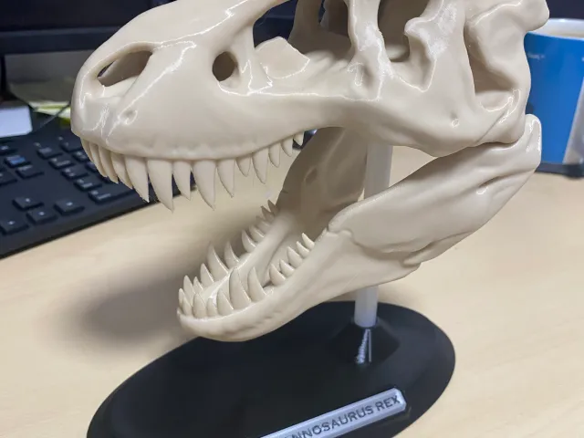 T Rex Skull Display Stand