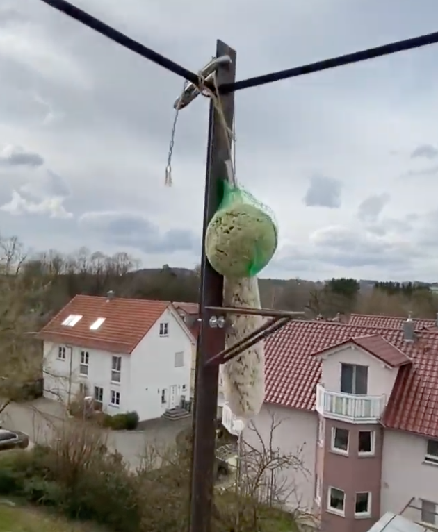 Bird landing thing