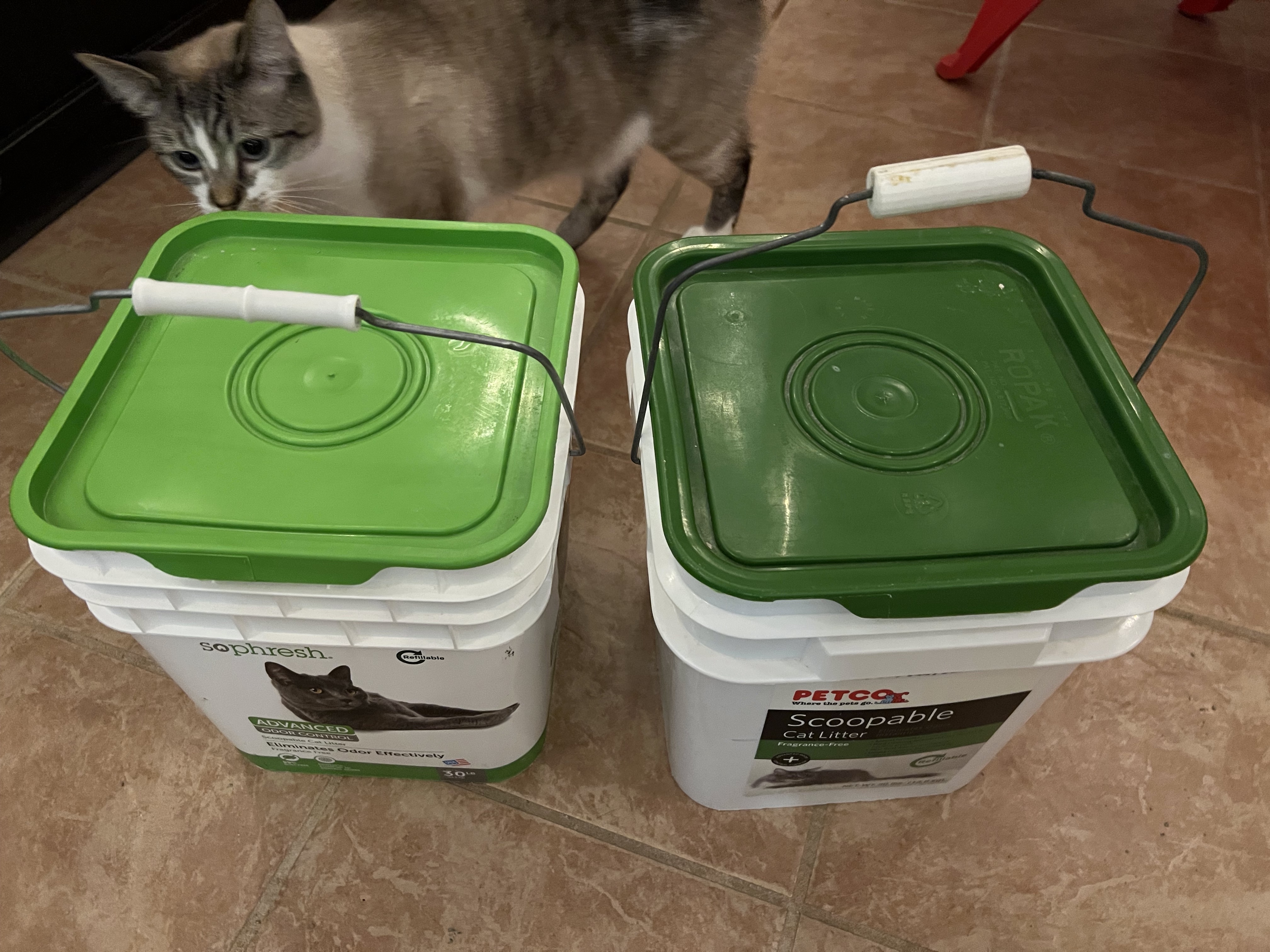 Petco kitty litter outlet refill