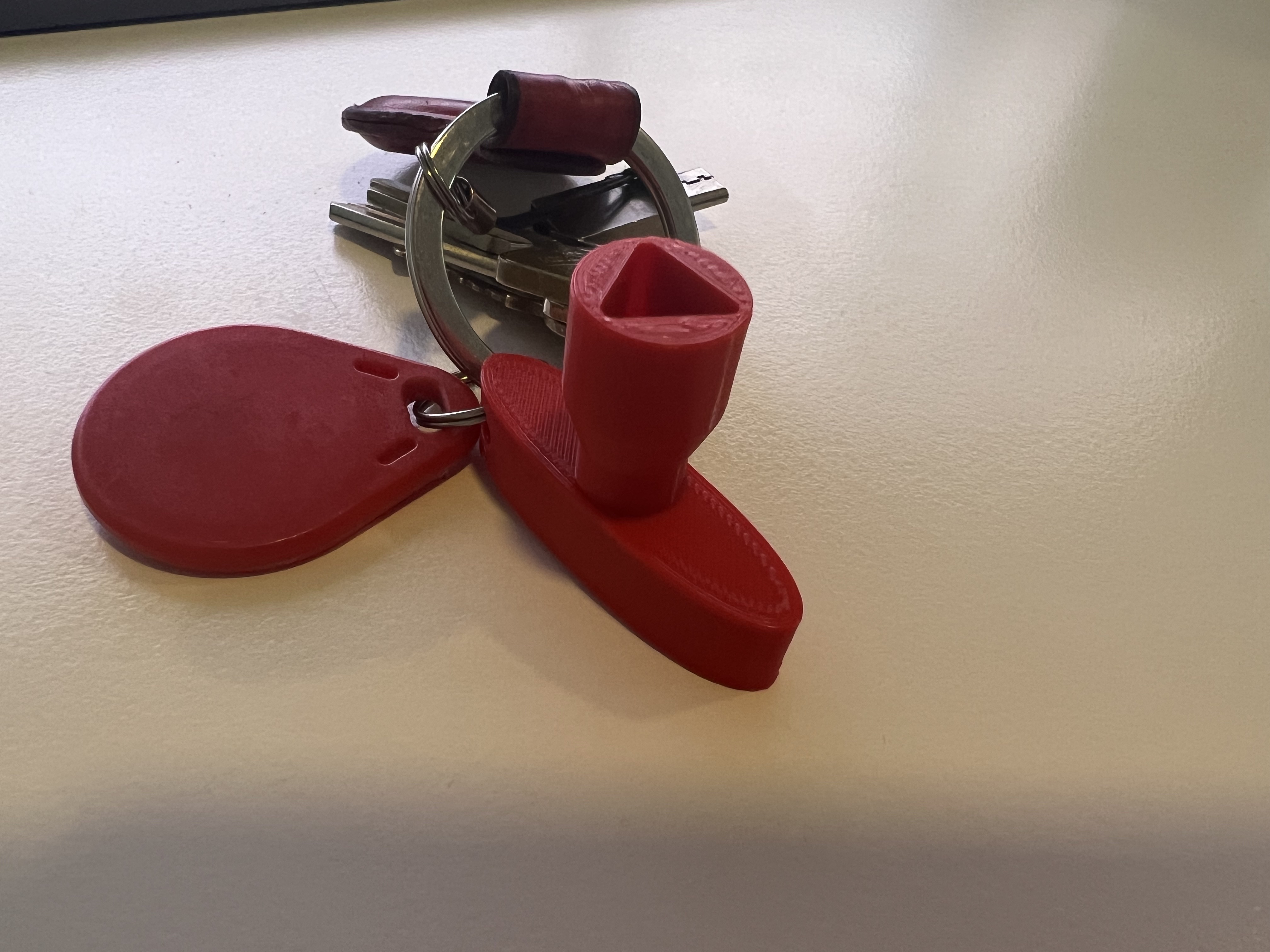 Litter Box Key (triangular) with keychain