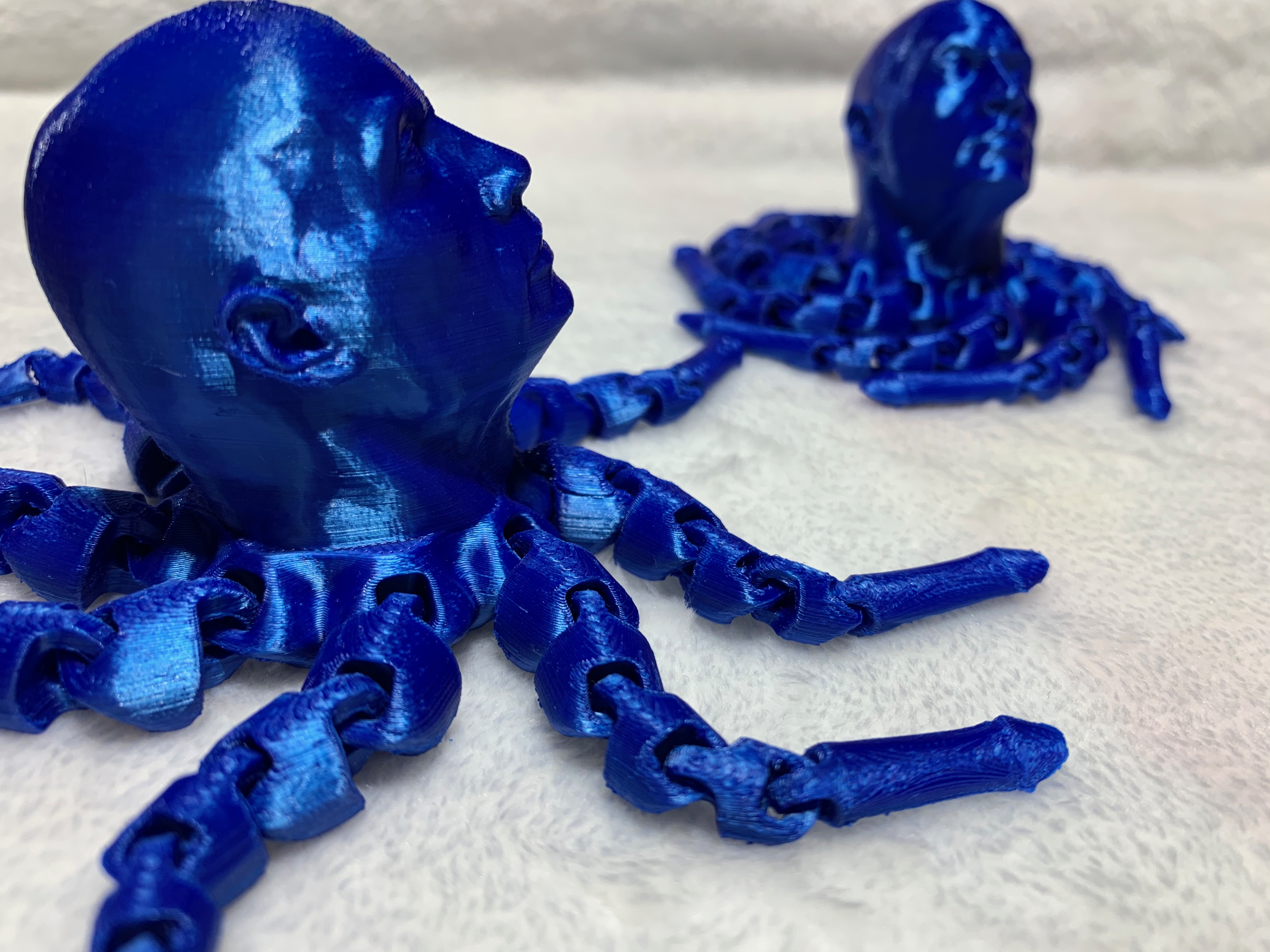 Dilrocktopus