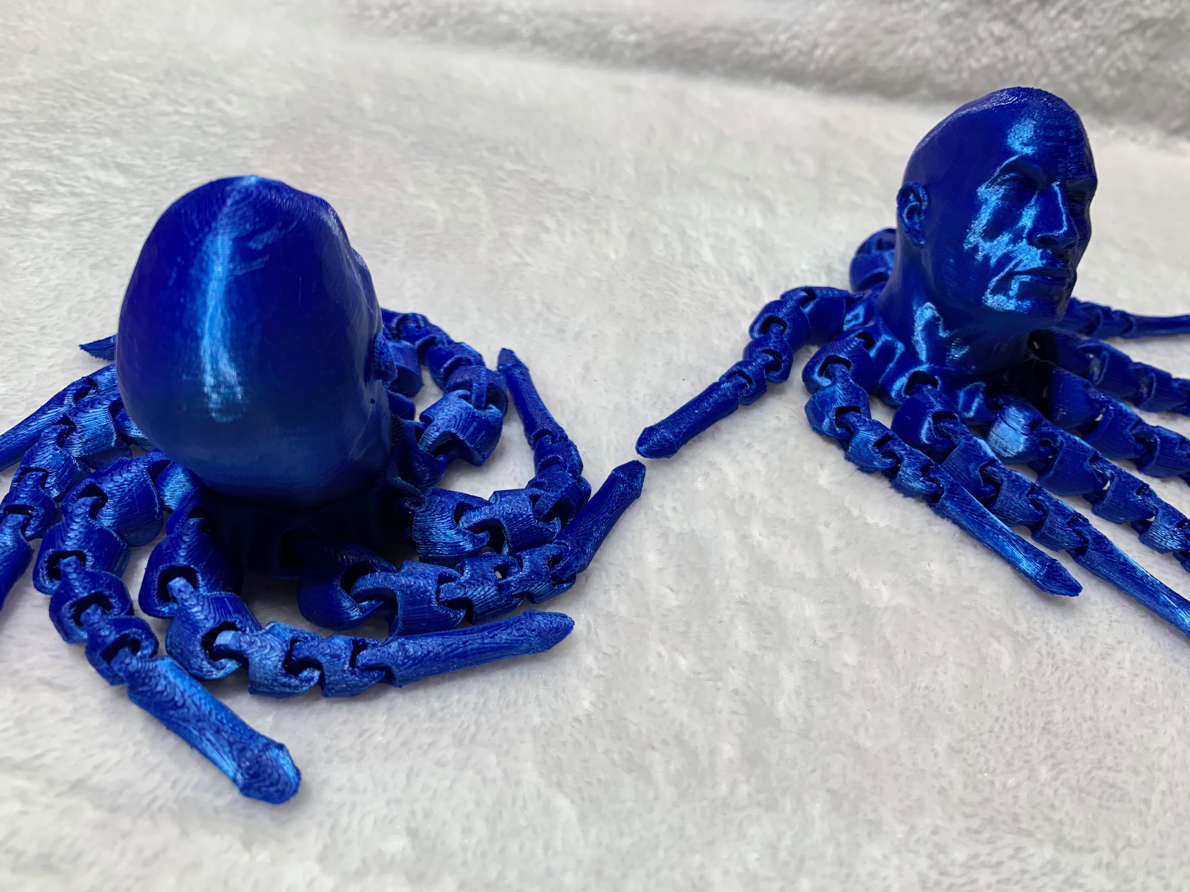 Dilrocktopus — thumbnail 2