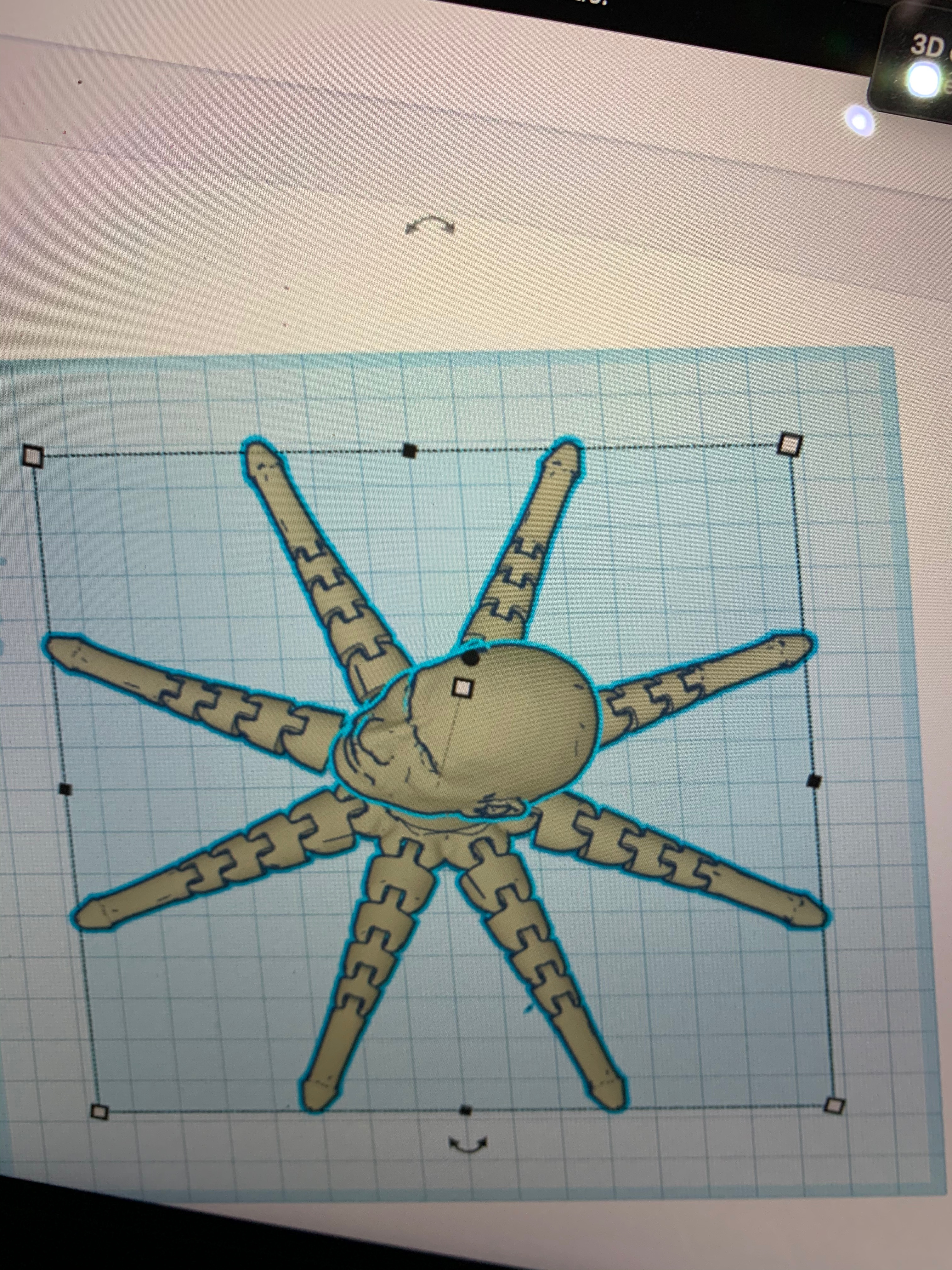 Dilrocktopus — thumbnail 4