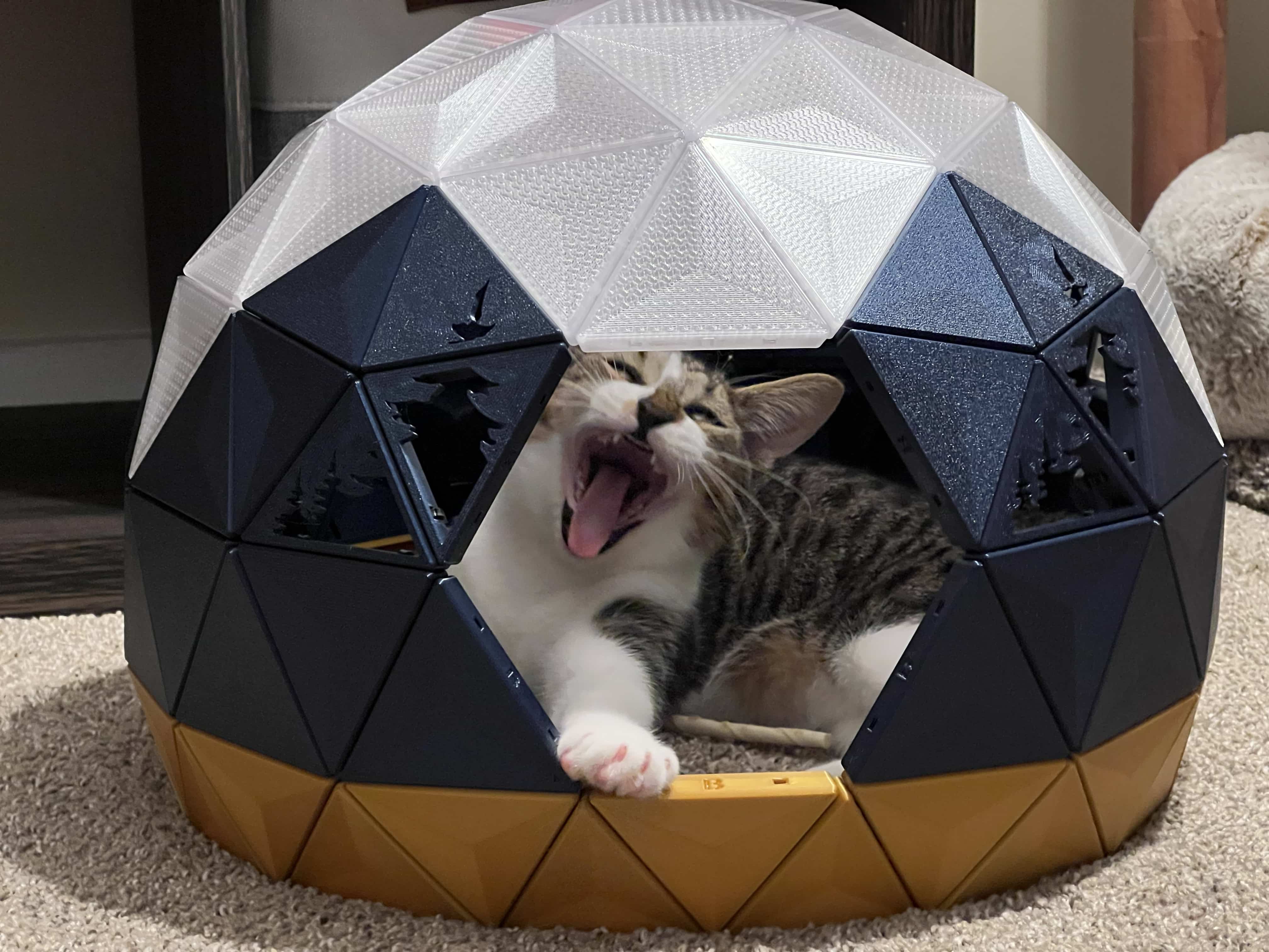 Cat 2025 dome bed