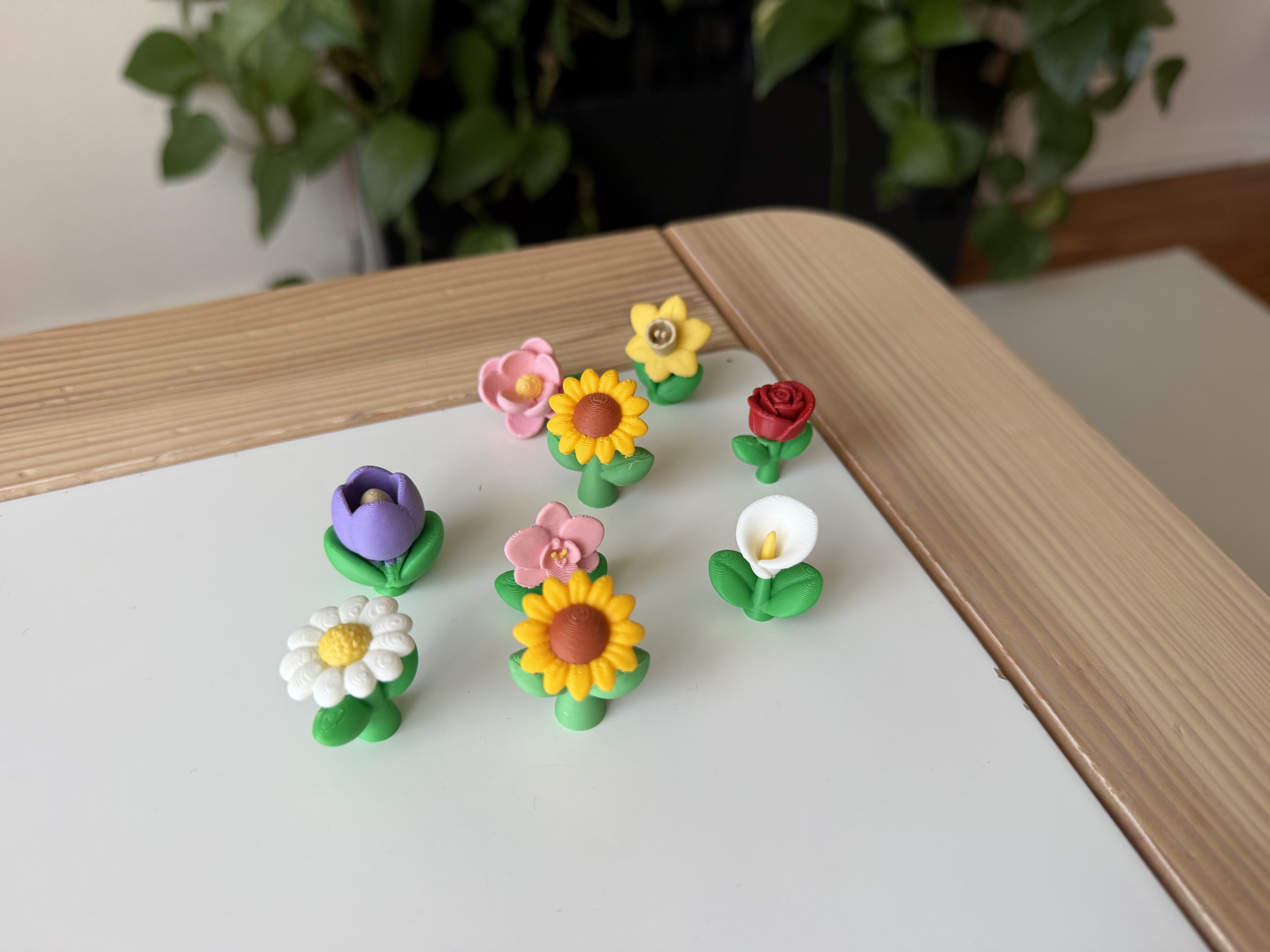 Sunflower — miniatura 6