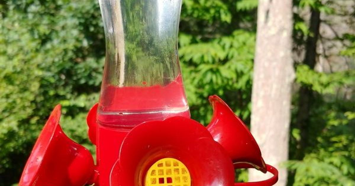 Perky pet bee guards for hummingbird feeders deals