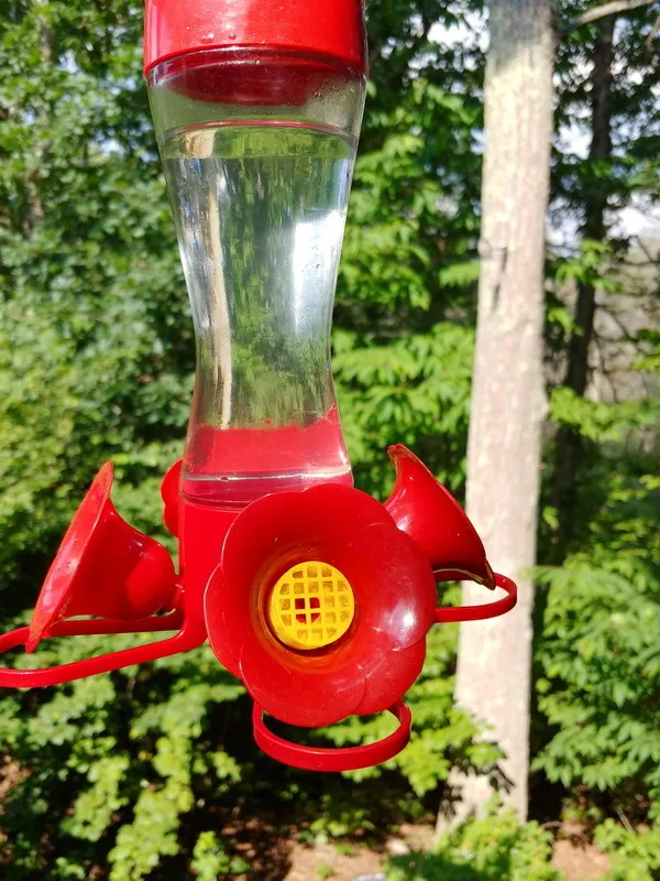 Perky pet bee top guards for hummingbird feeders