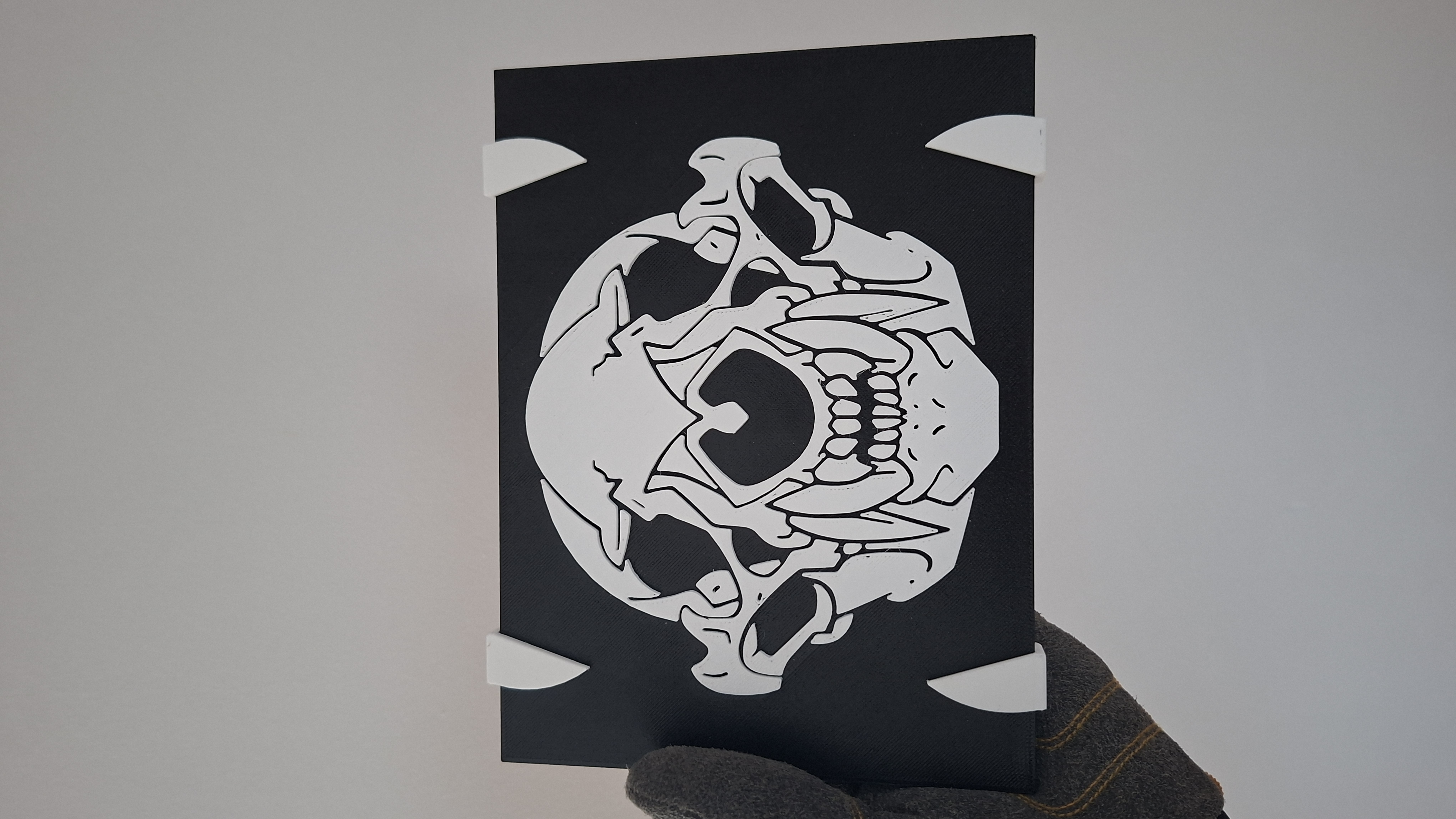 Badger Skull Plate