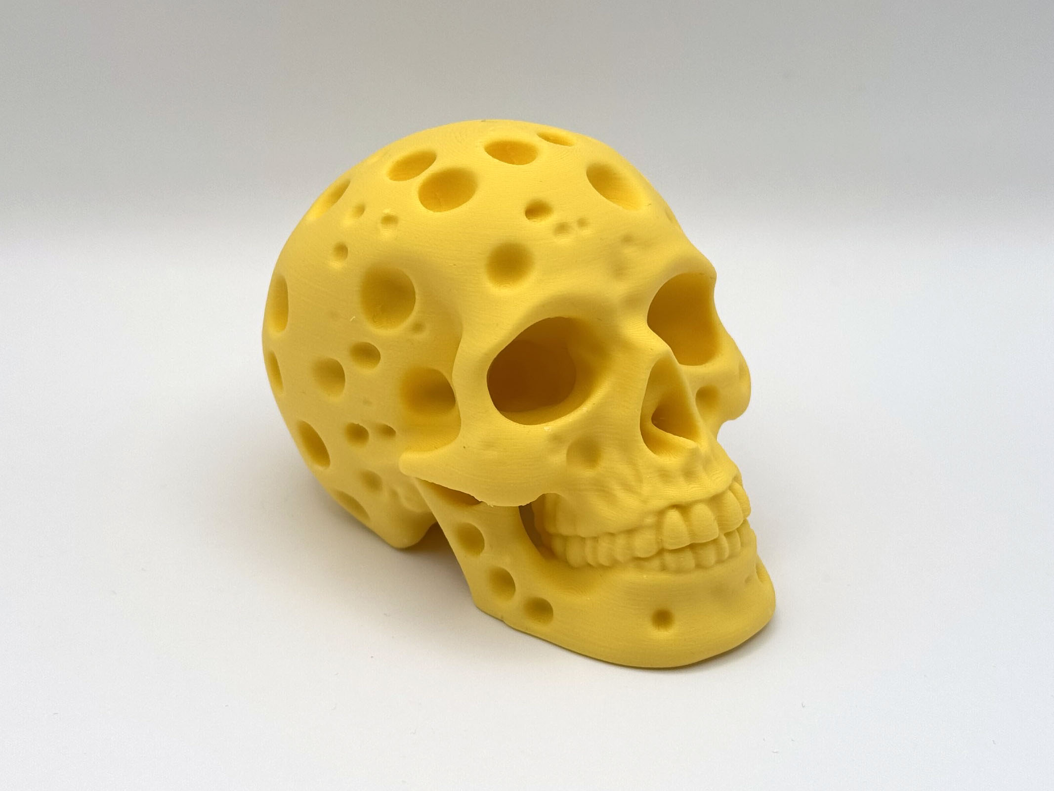 Cheese Skull