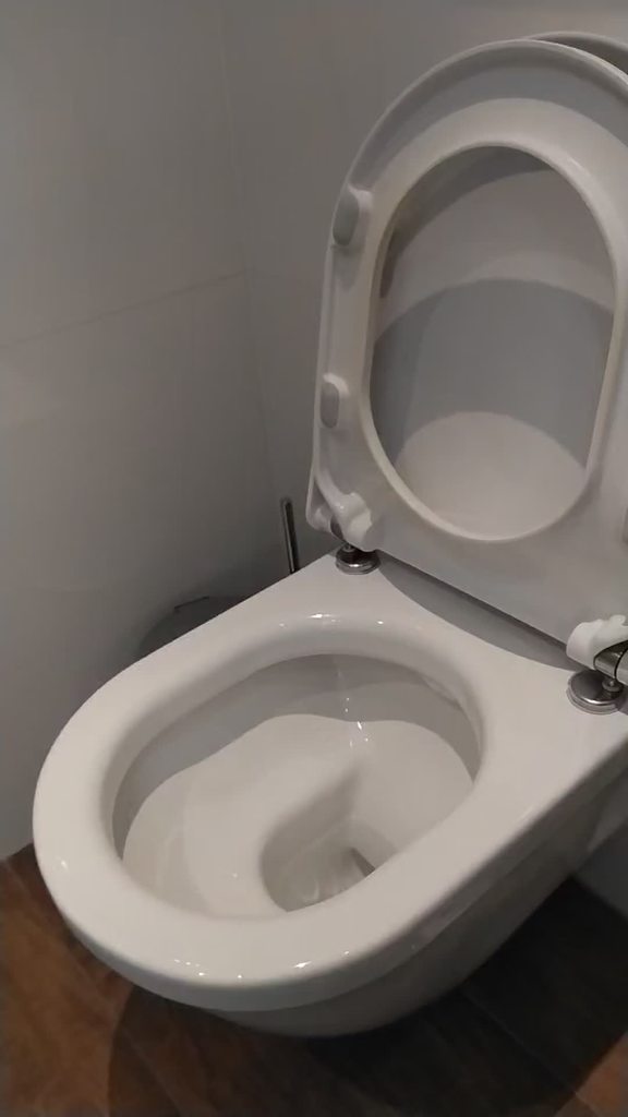 Duravit slow close toilet seat hinge by koretic Download free STL