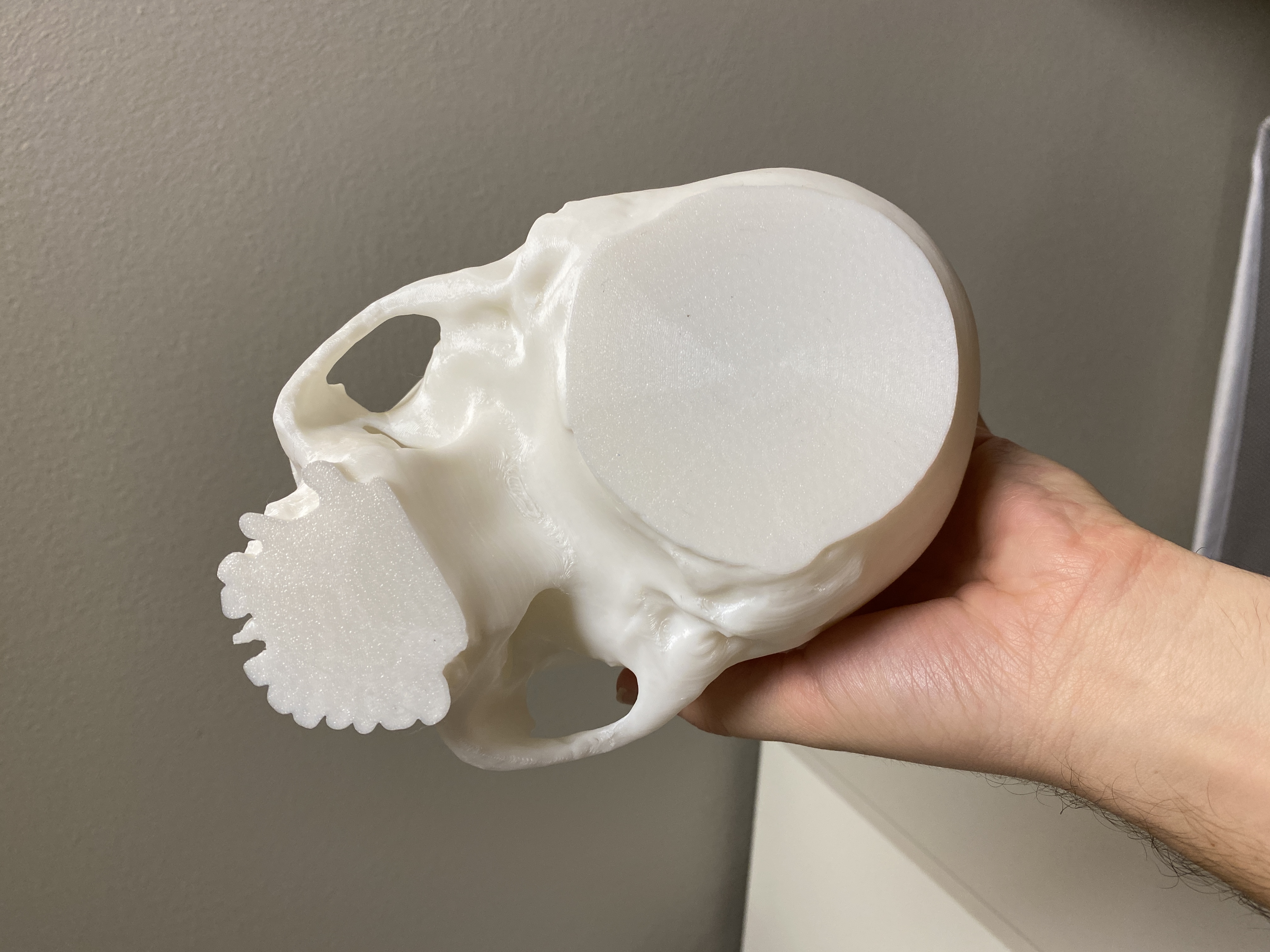 realistic-skull-candy-bowl-halloween-skull-decoration-by-thinkable