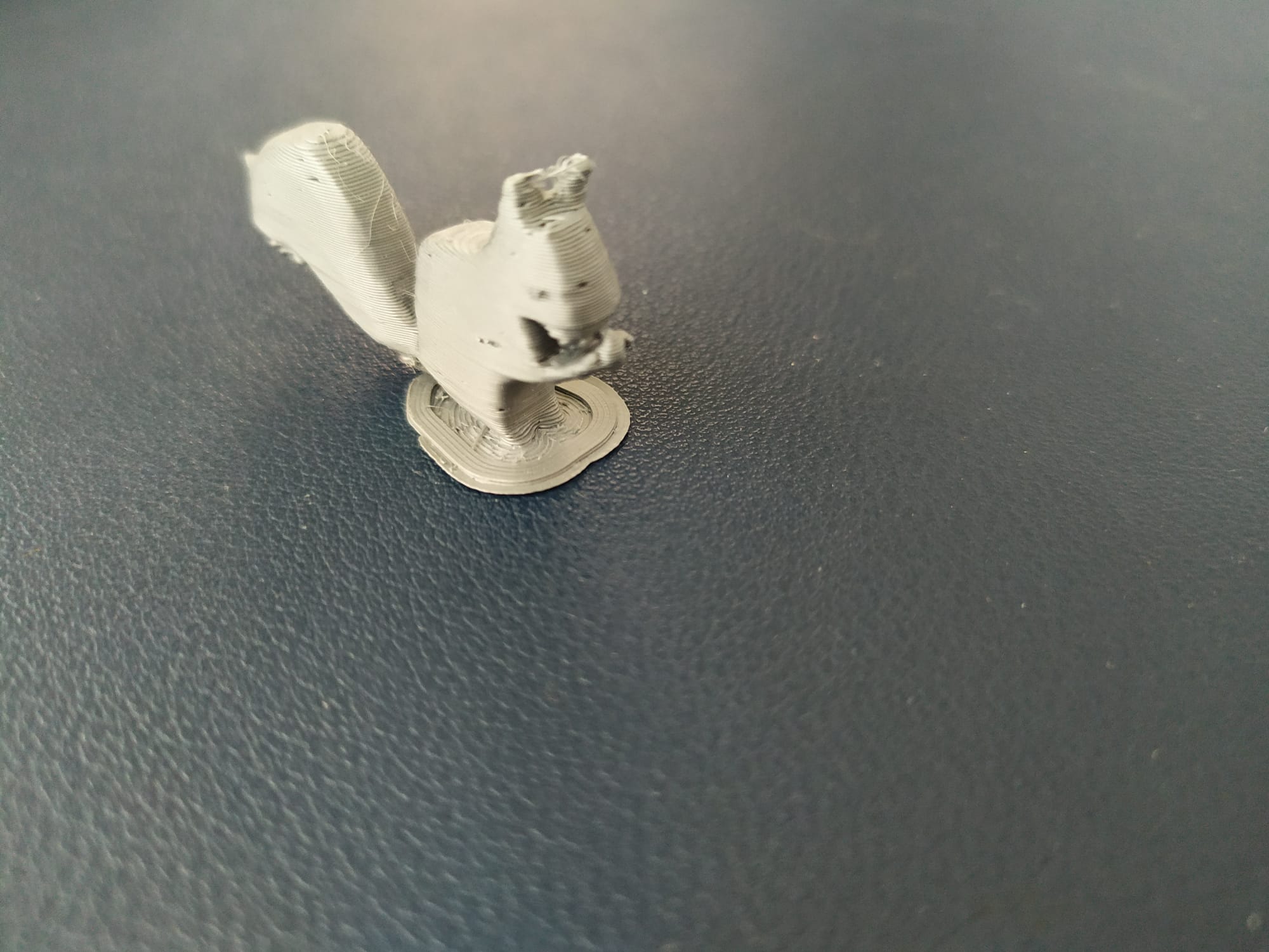 Miniatura 3 do modelo 3D squirrel