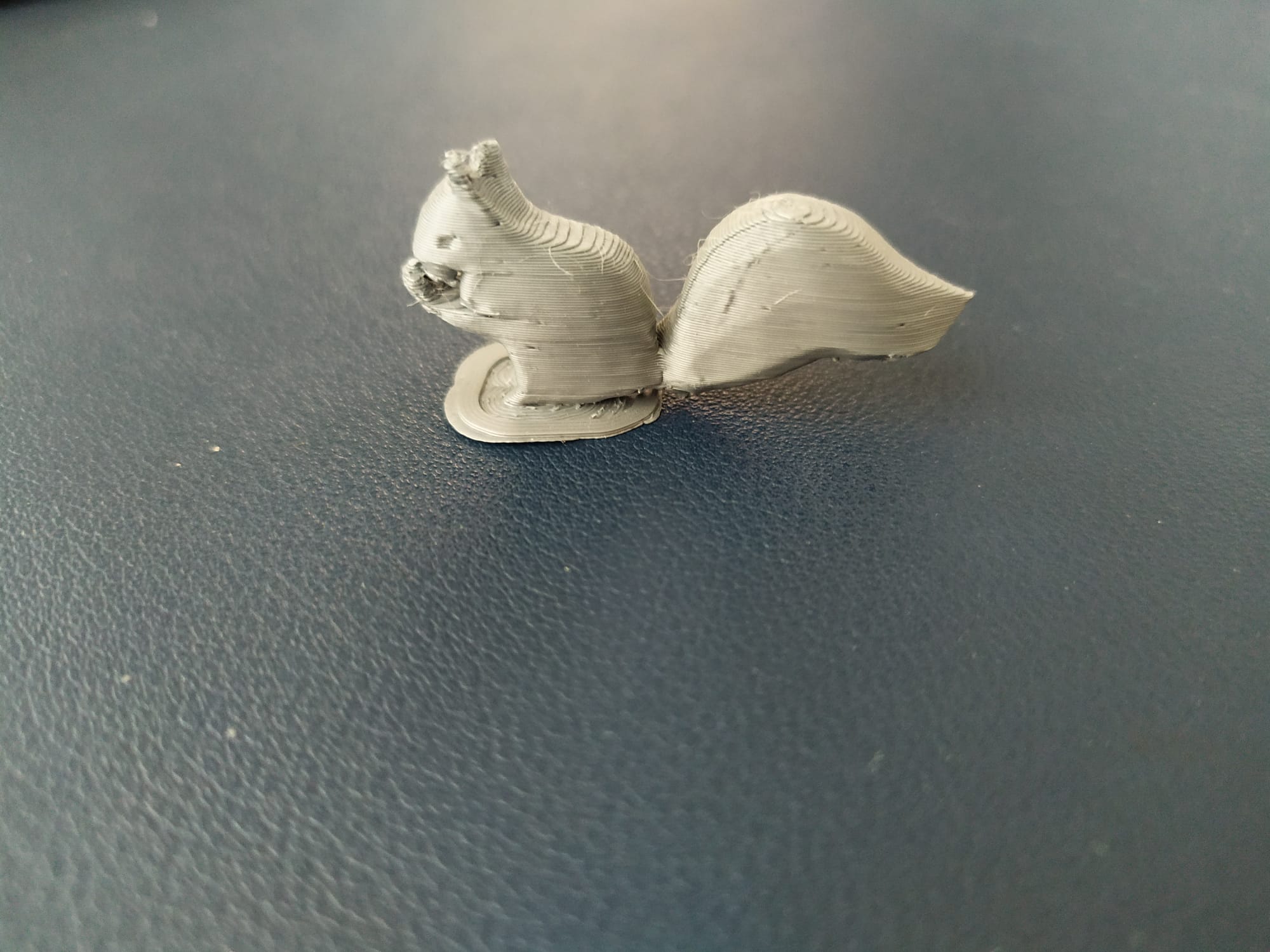 Miniatura 4 do modelo 3D squirrel