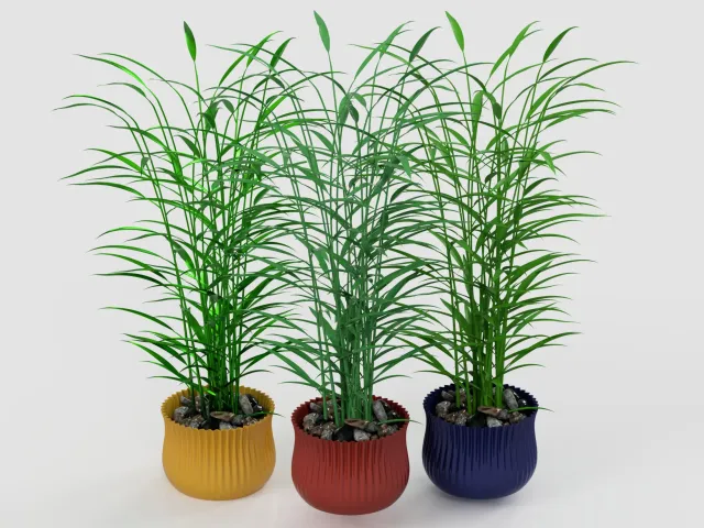 Wavy Flower Pot