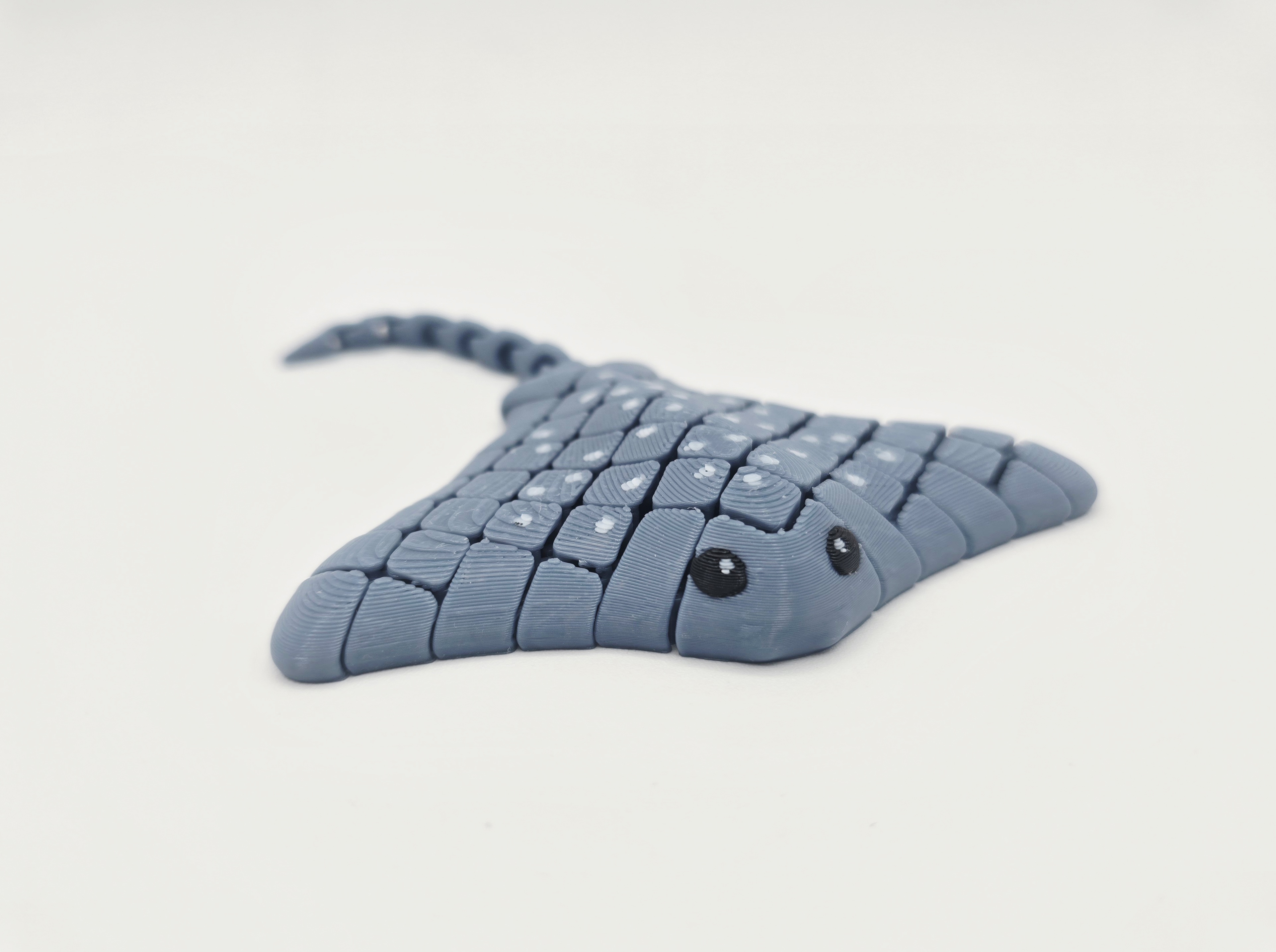 Flexi Hybrid Stingray