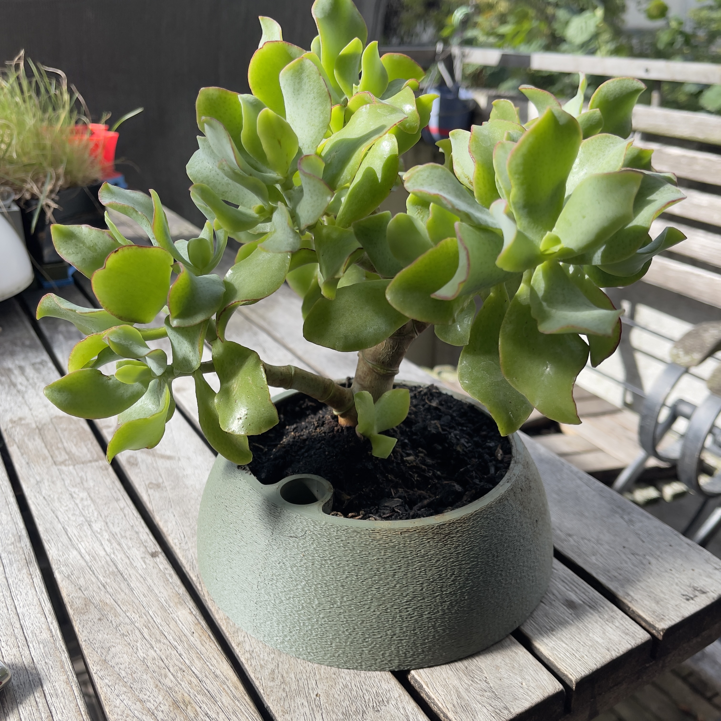 Sturdy Planter with water level opening