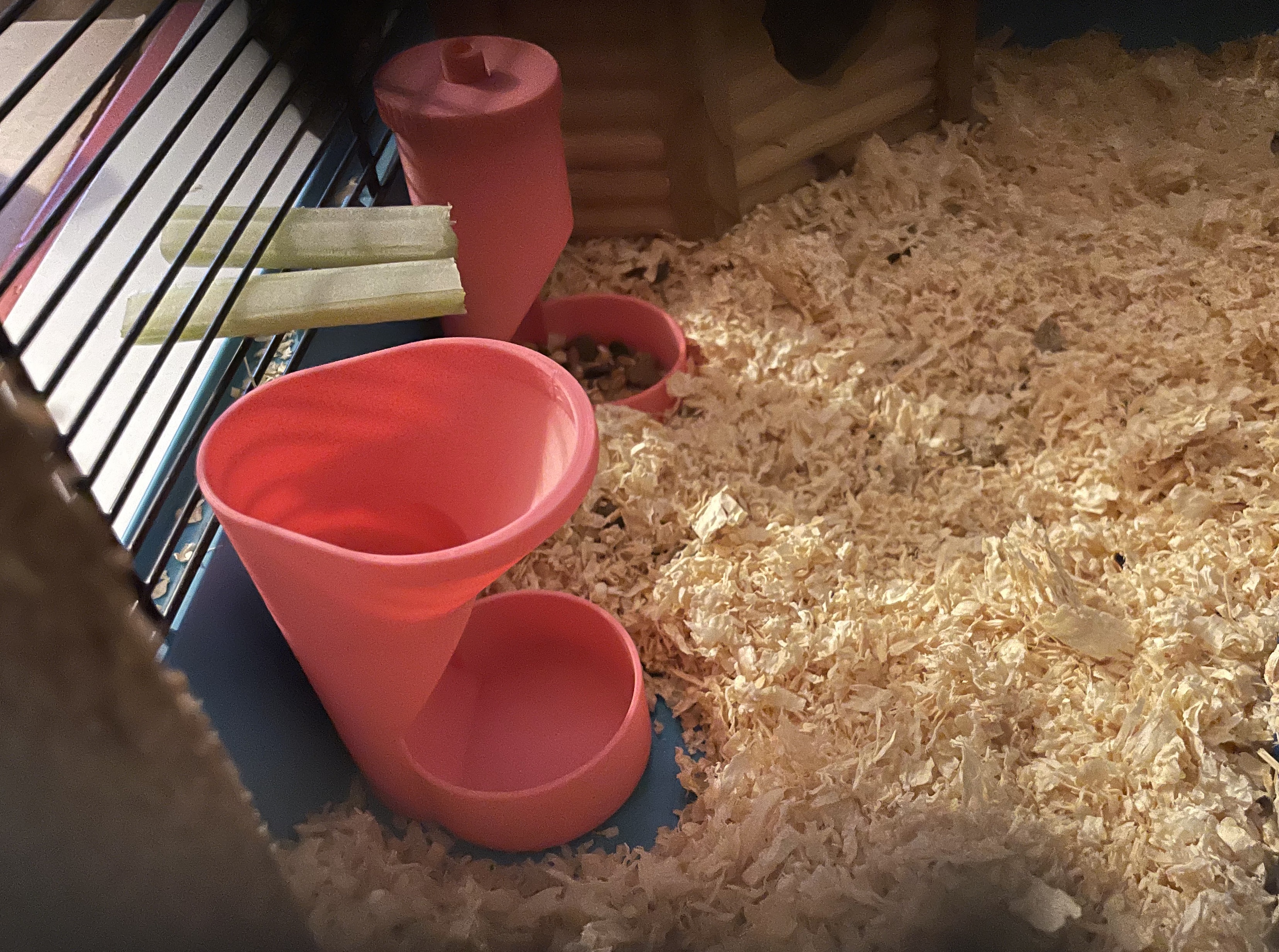 Hamster (rodent) Feeder - Funnel