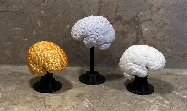 Bobbling Brain