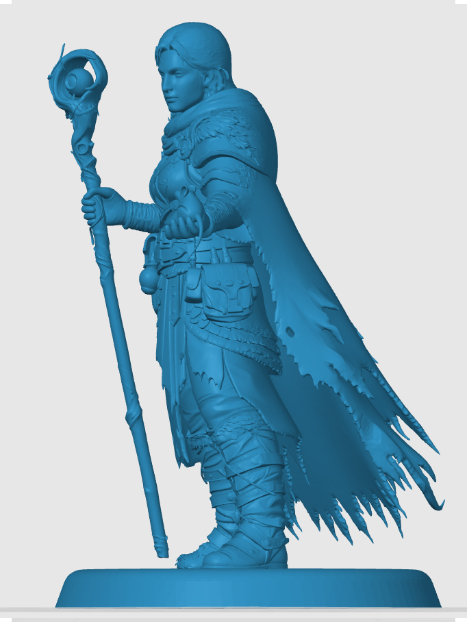 Human Druid — thumbnail 3