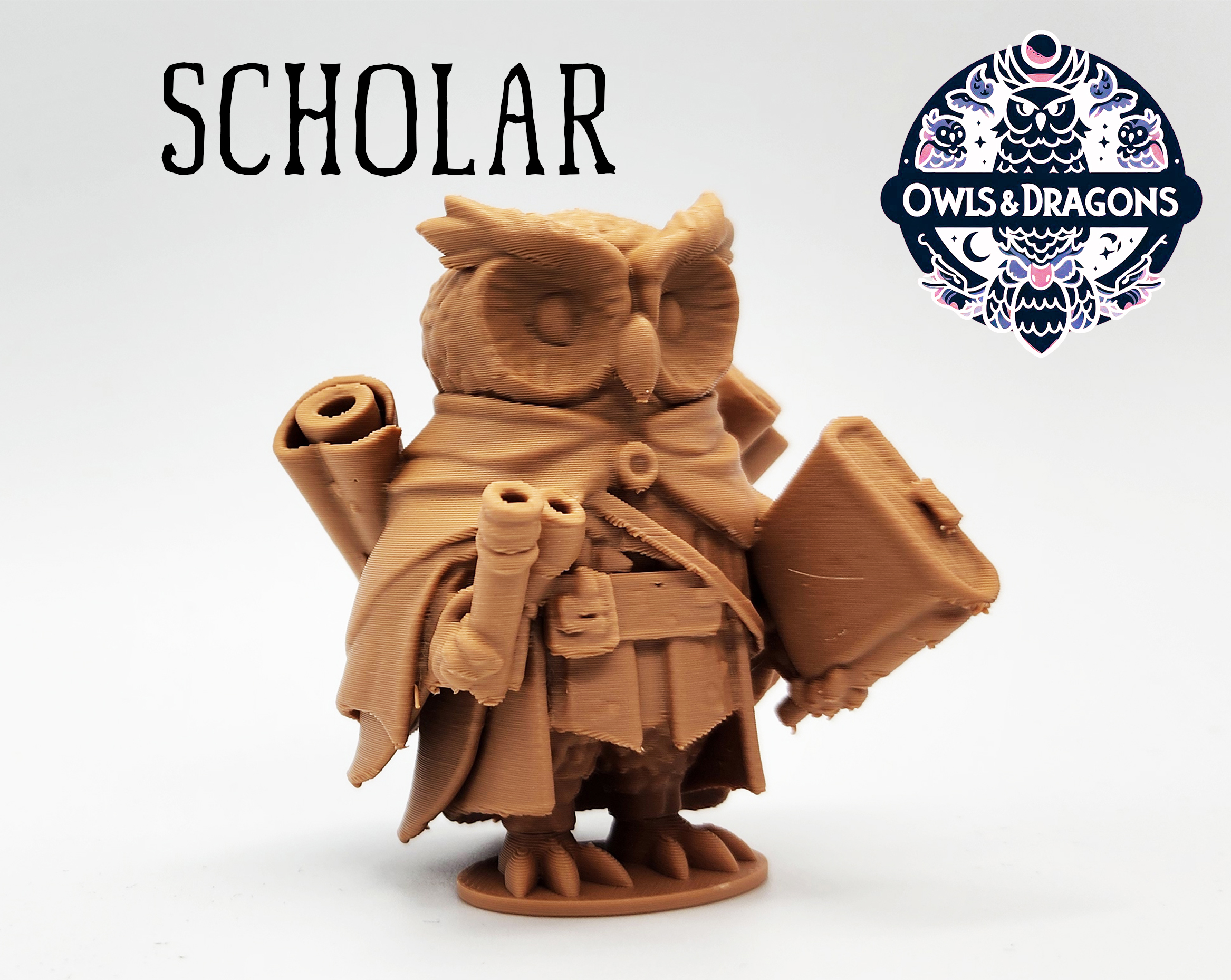 The Scholar - Owls & Dragons
