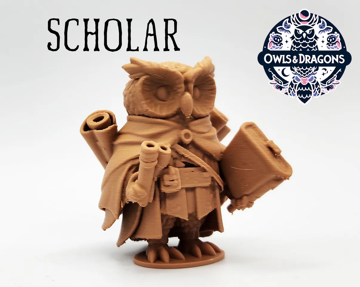 The Scholar - Owls & Dragons by Triple G Workshop | Download free