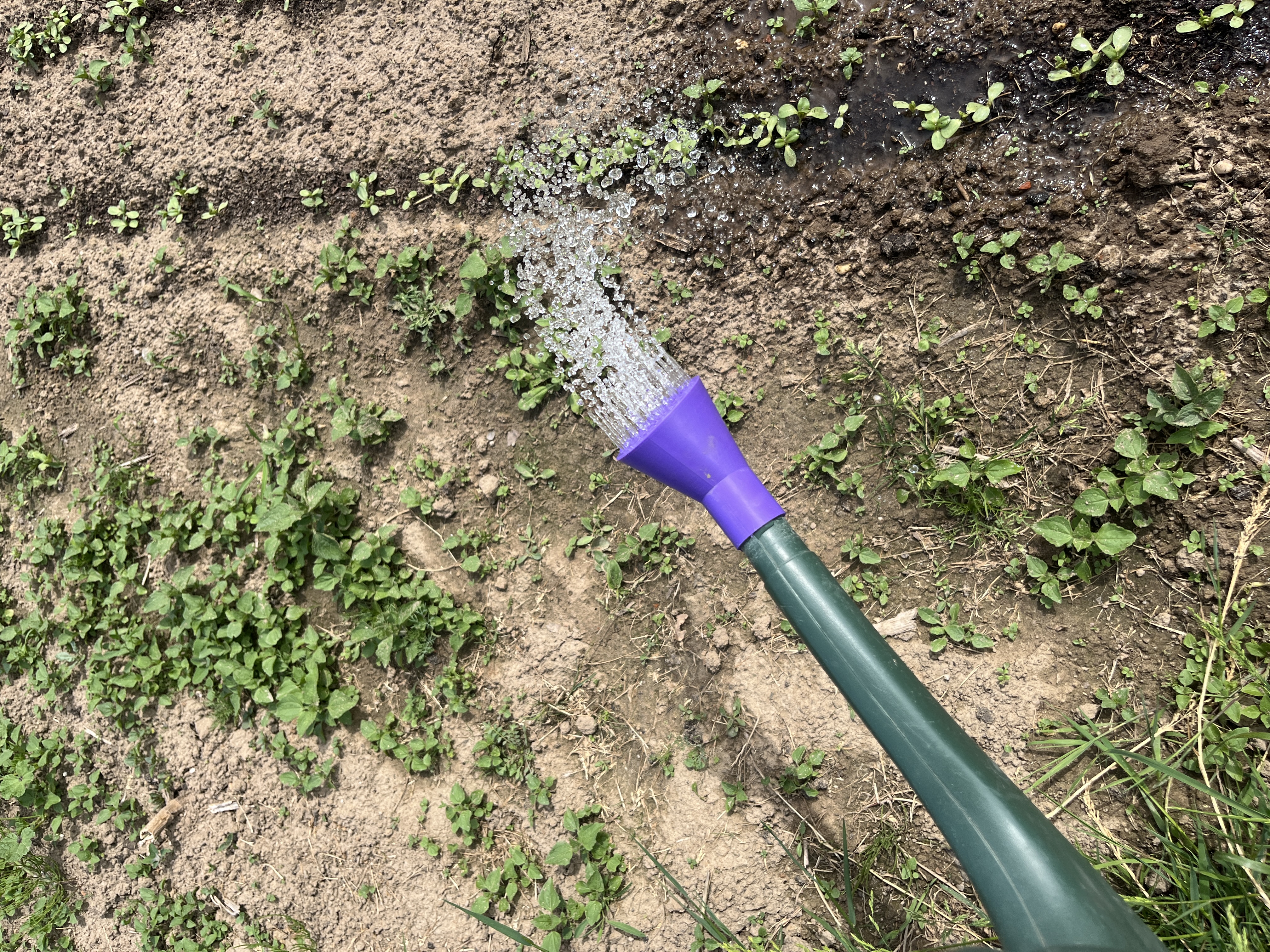 Watering Can Head