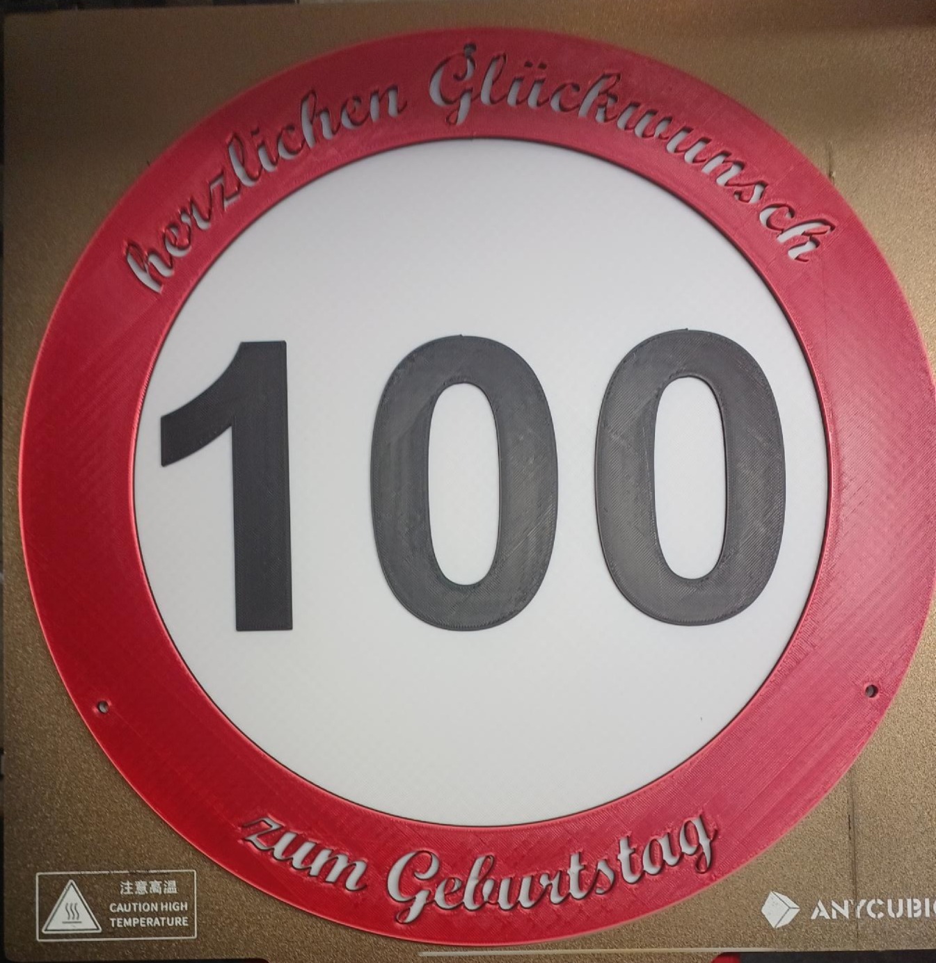 Geburtstagsschild "100"