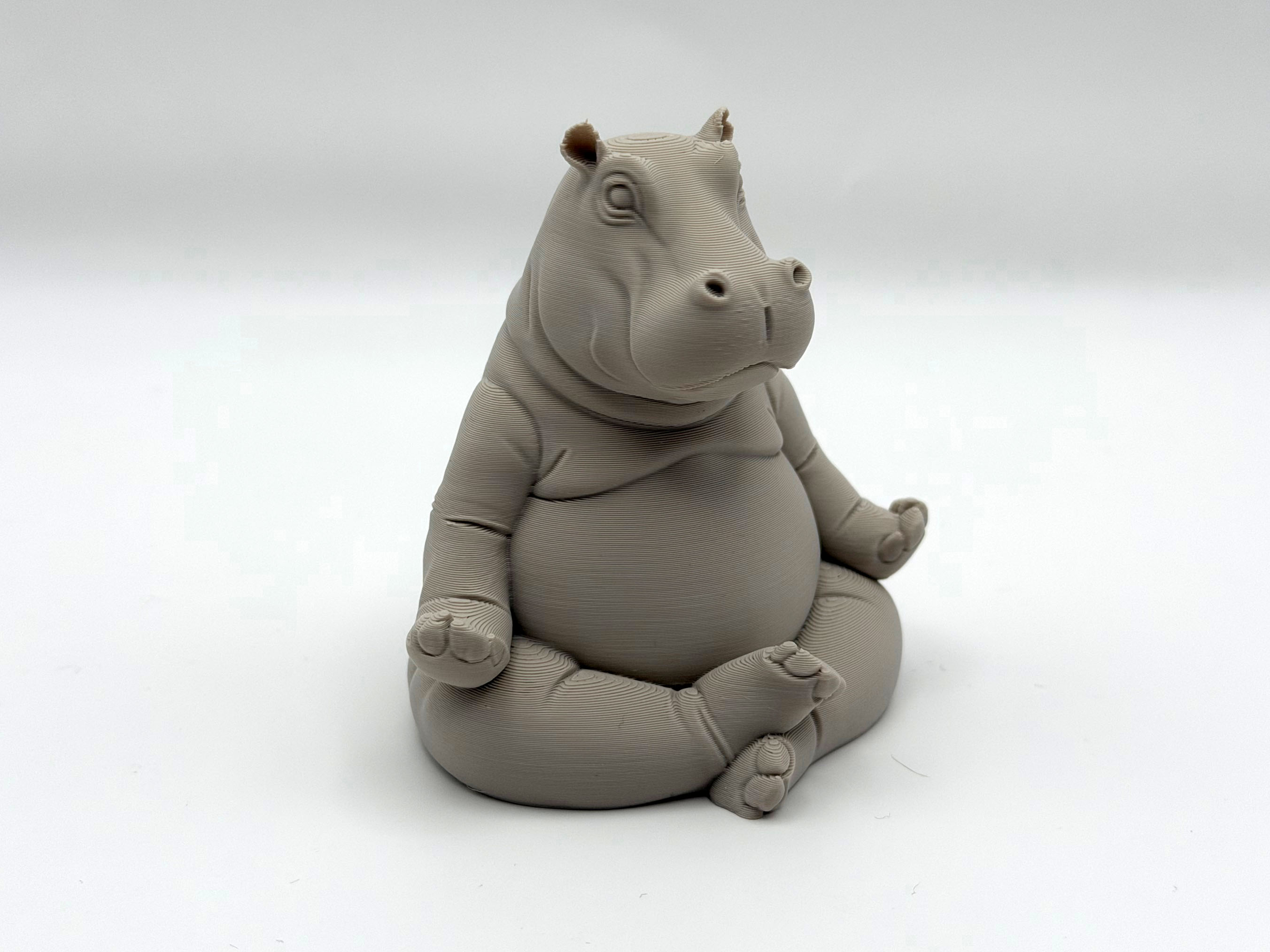 Meditating Hippo — miniatura 4