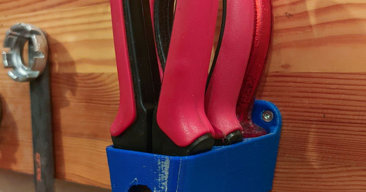 Triple Pliers Wall Holder by nfroehberg Download free STL model